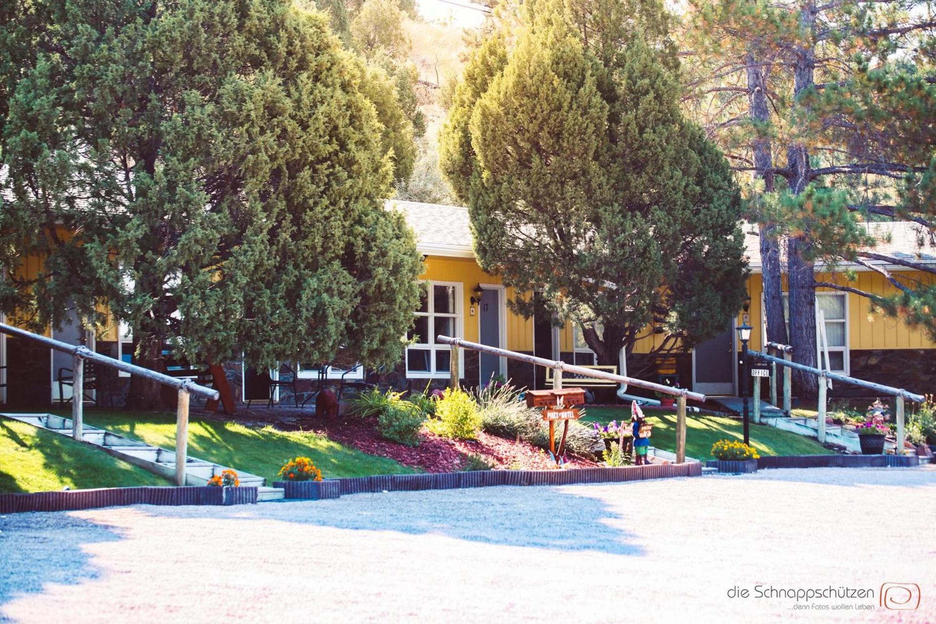 The Pines Country Inn — hotel in Newcastle