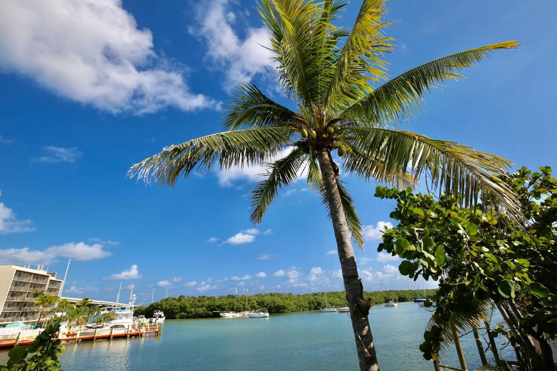 Gilbert's Resort & Marina photo 54