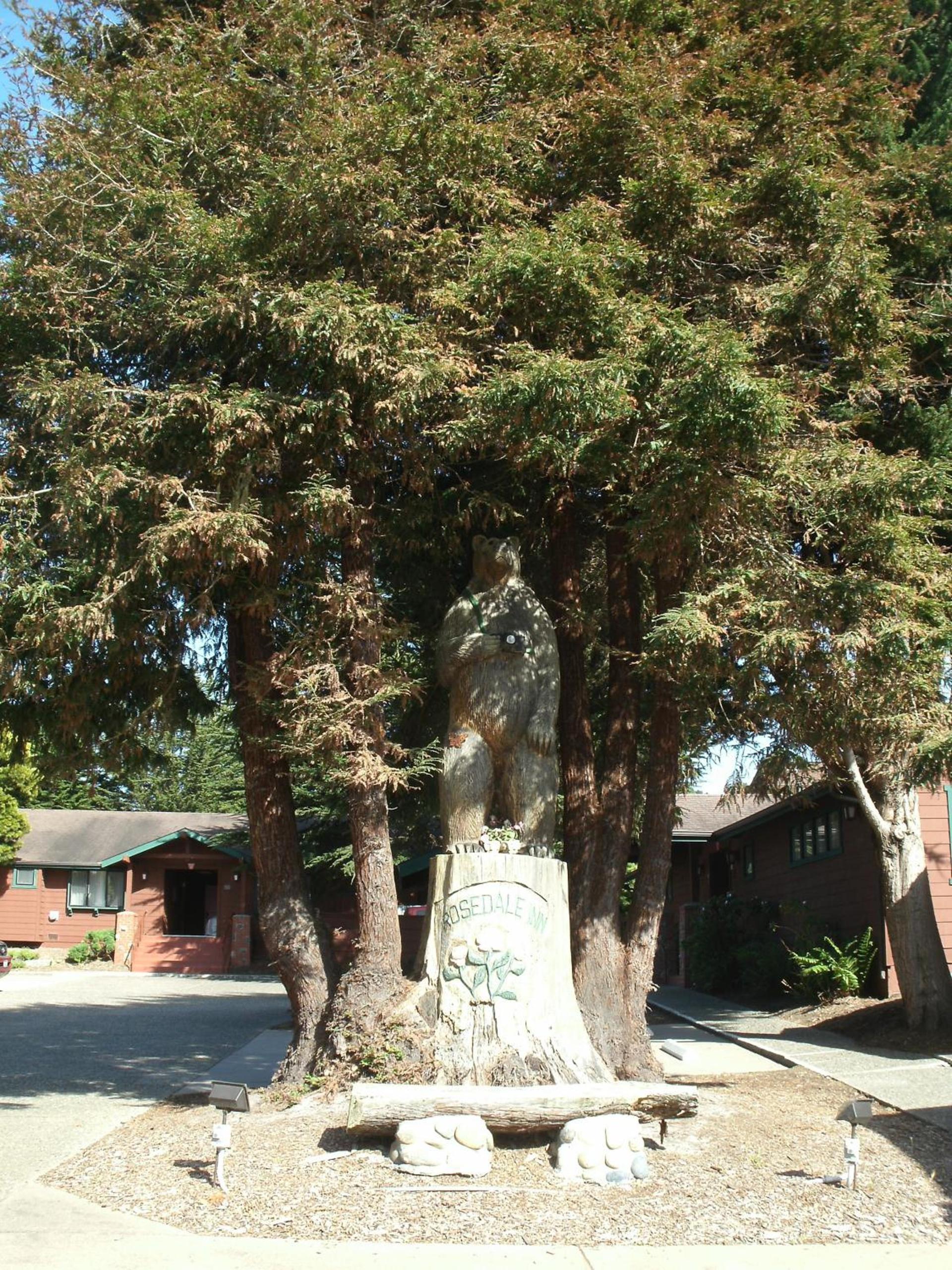 Rosedale Inn photo 2
