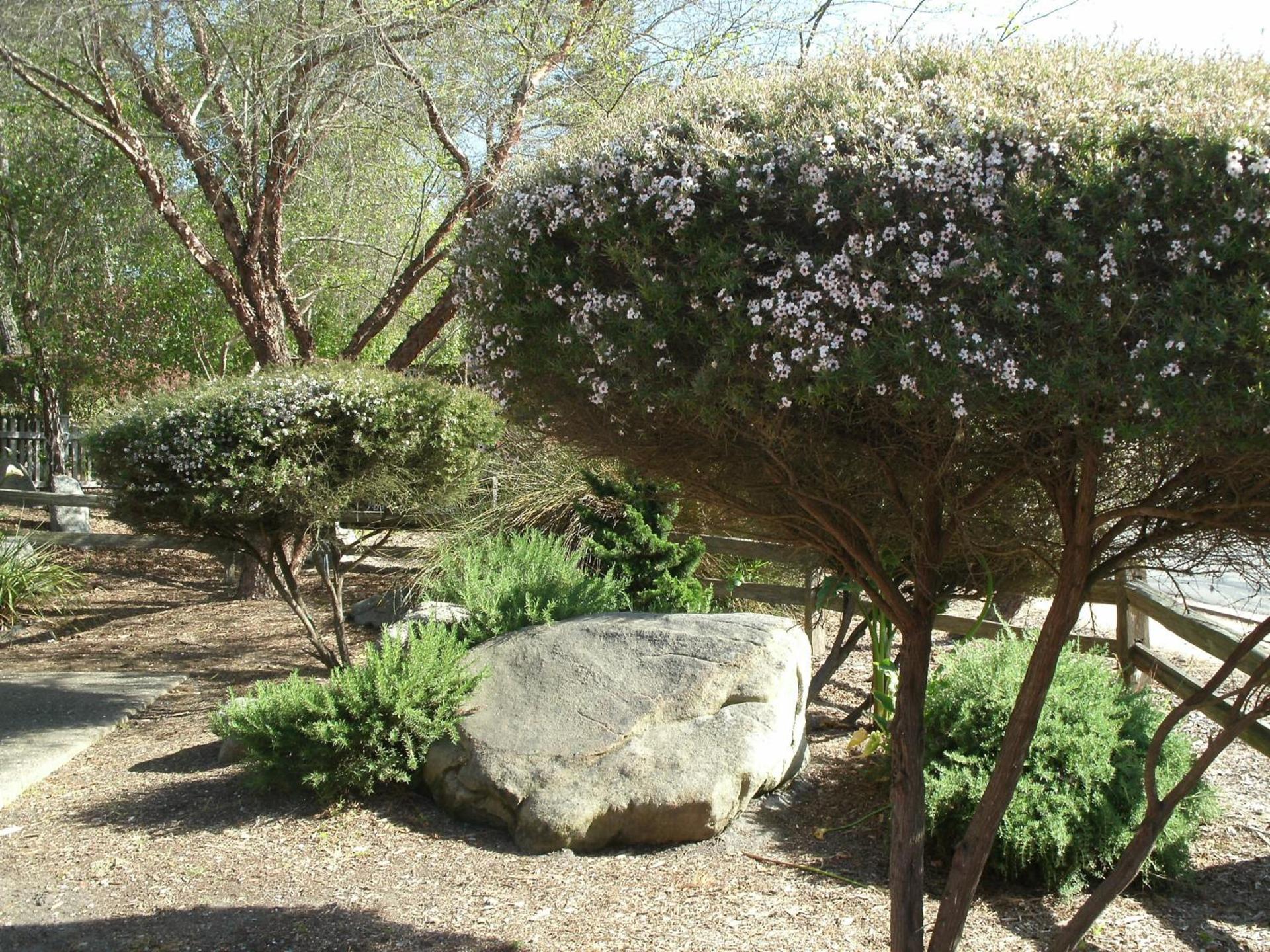 Rosedale Inn photo 12
