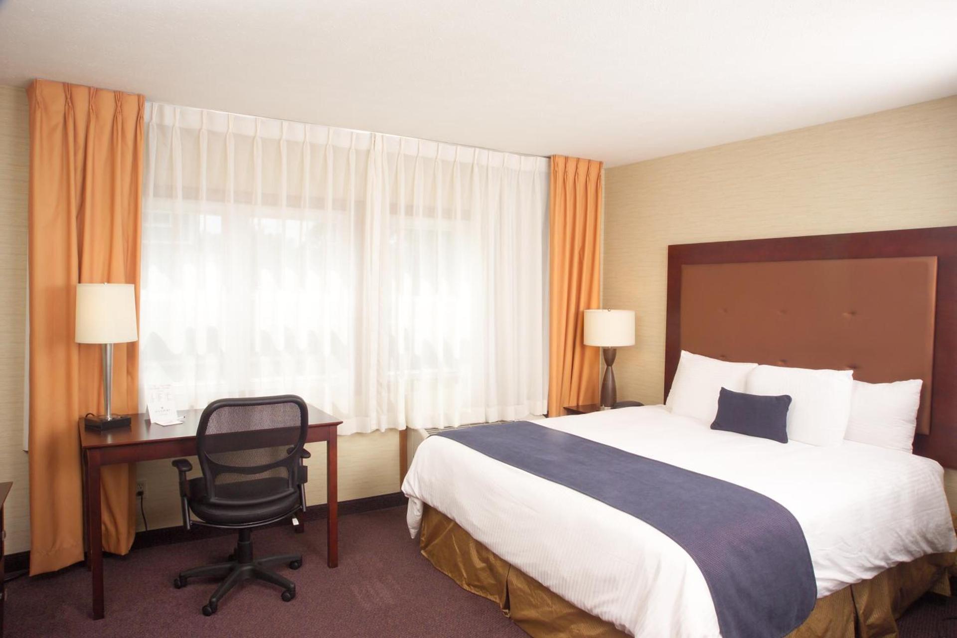 Ivy Court Inn and Suites photo 12