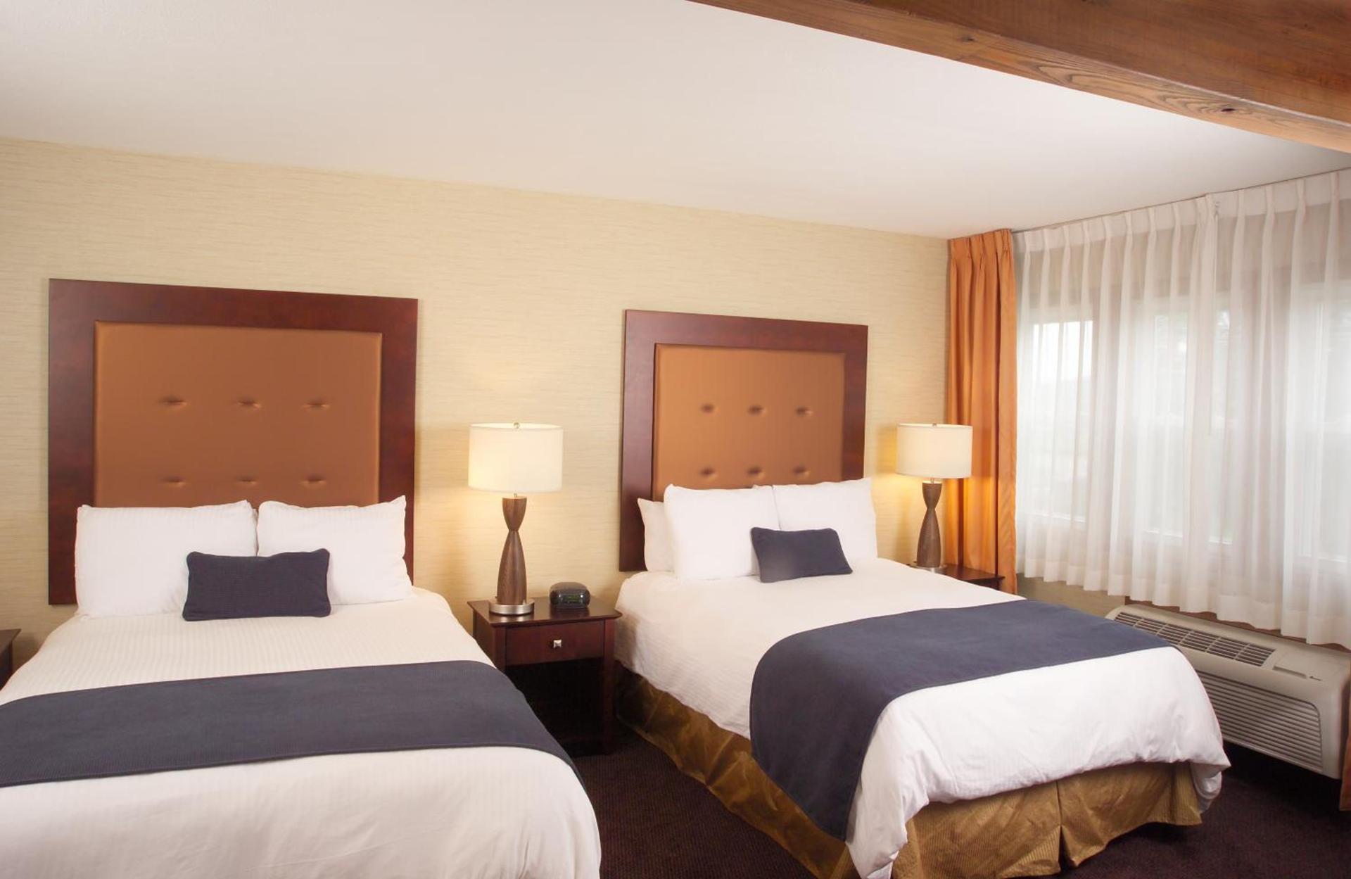 Ivy Court Inn and Suites photo 9
