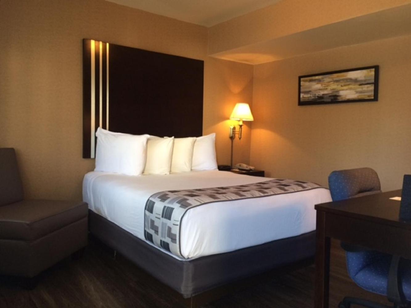 Super 8 by Wyndham Albany photo 7