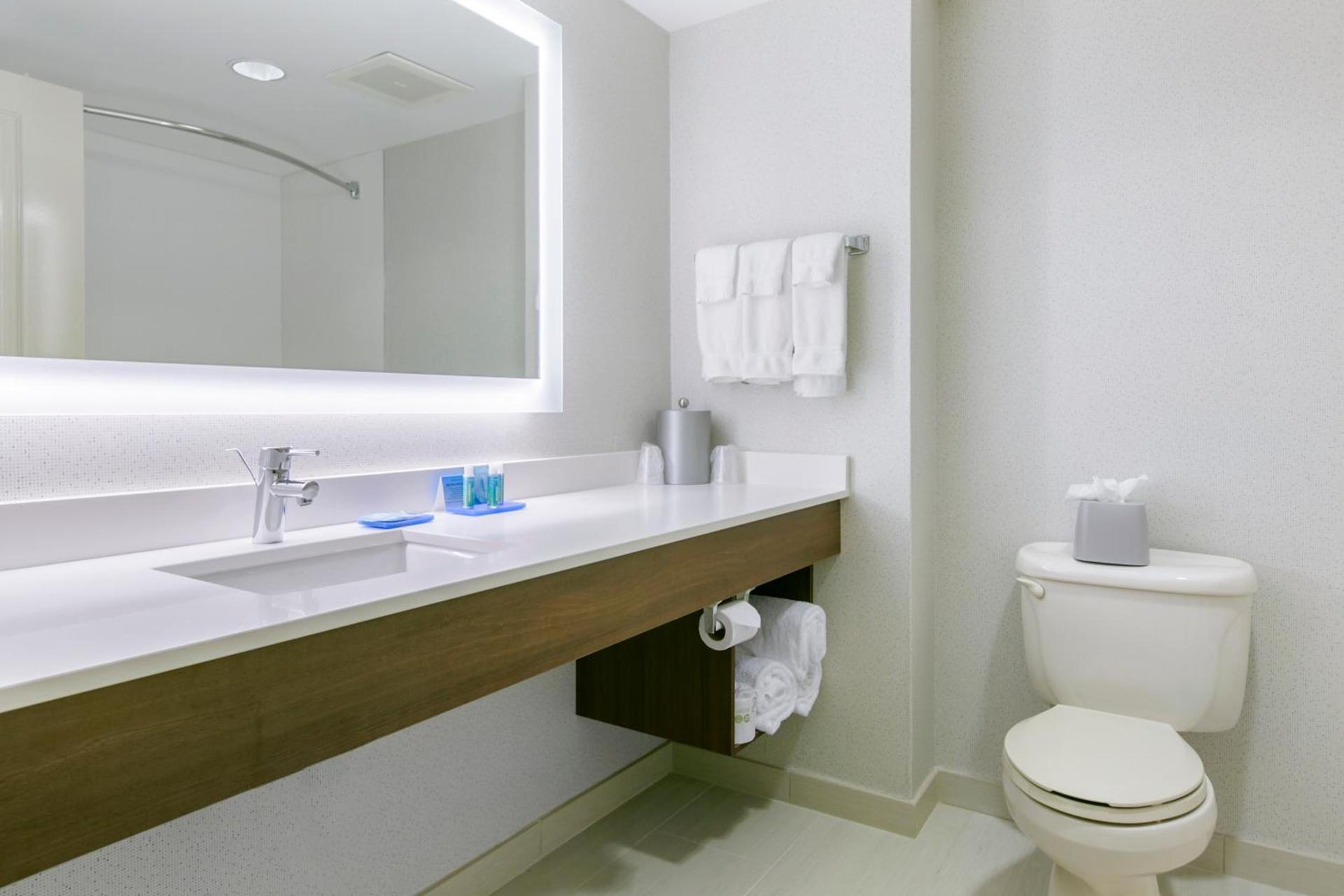 Holiday Inn Express Mount Arlington by IHG photo 5
