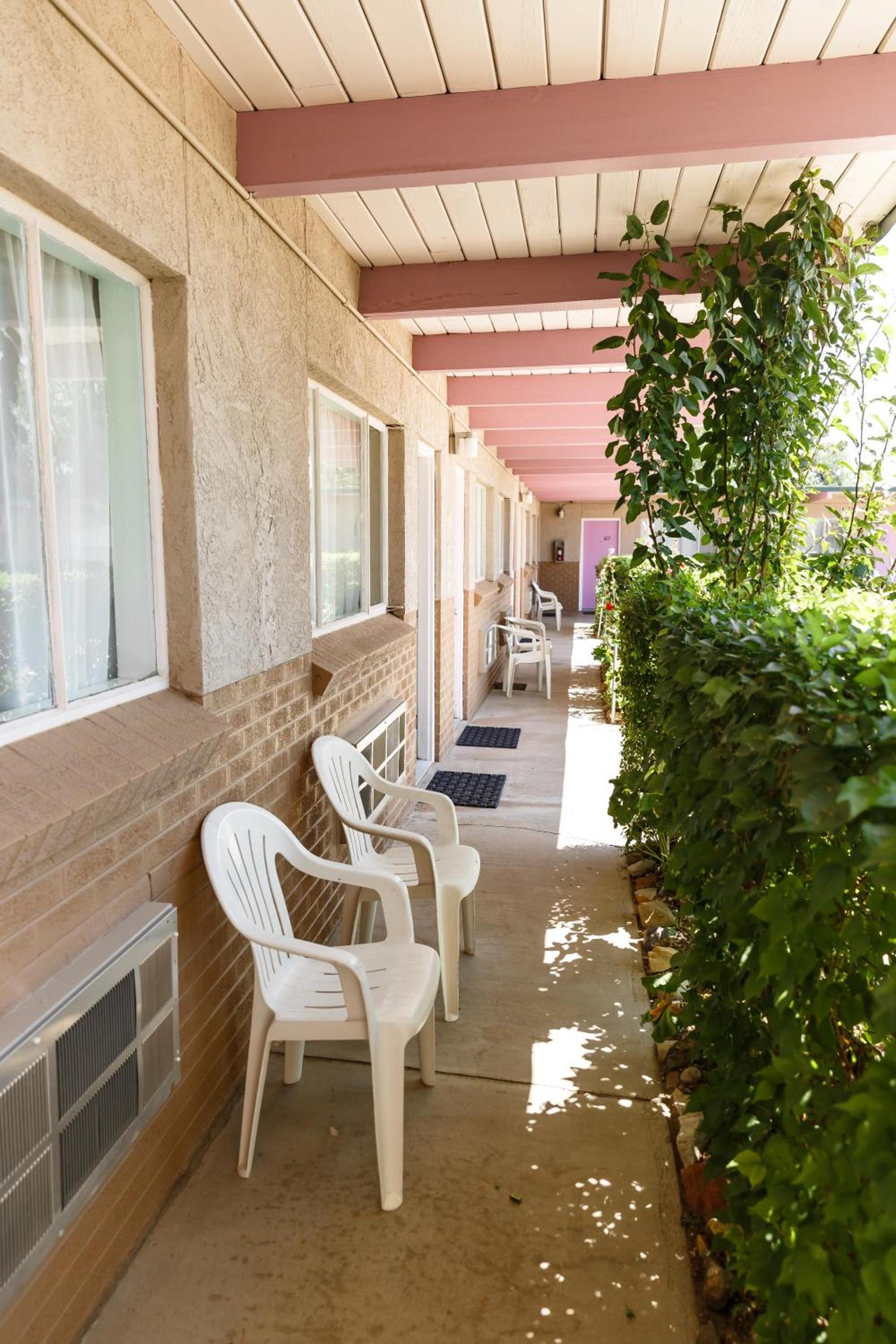 Safari Inn photo 5