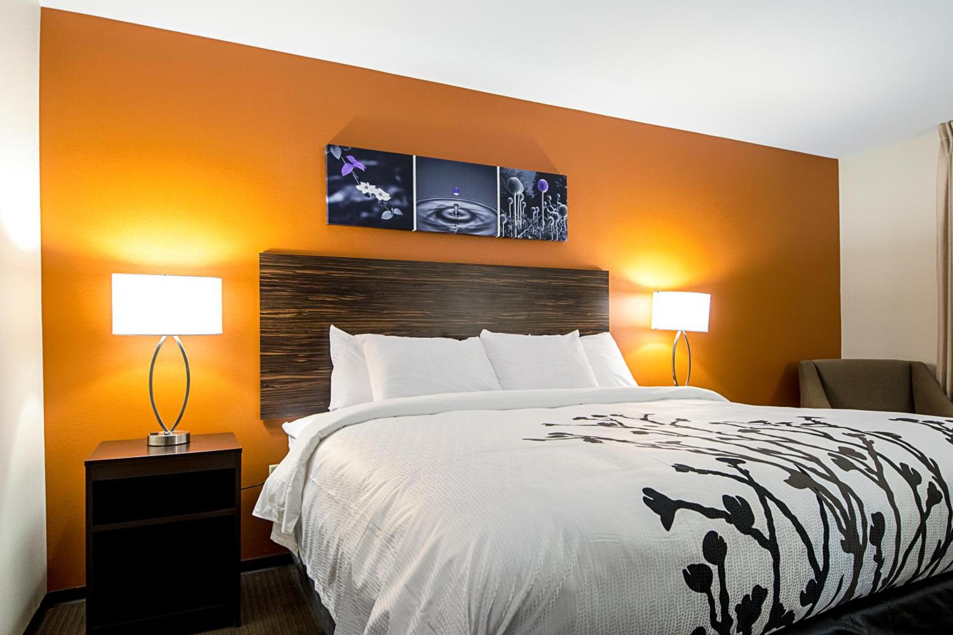 Sleep Inn Geismar - Gonzales photo 30