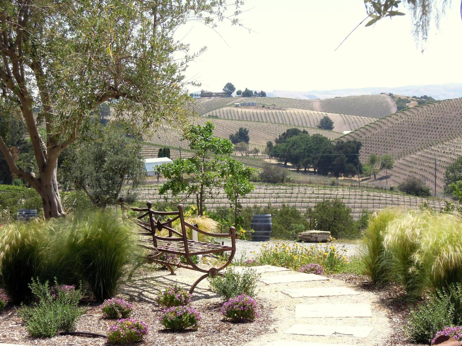 Croad Vineyards - The Inn photo 21
