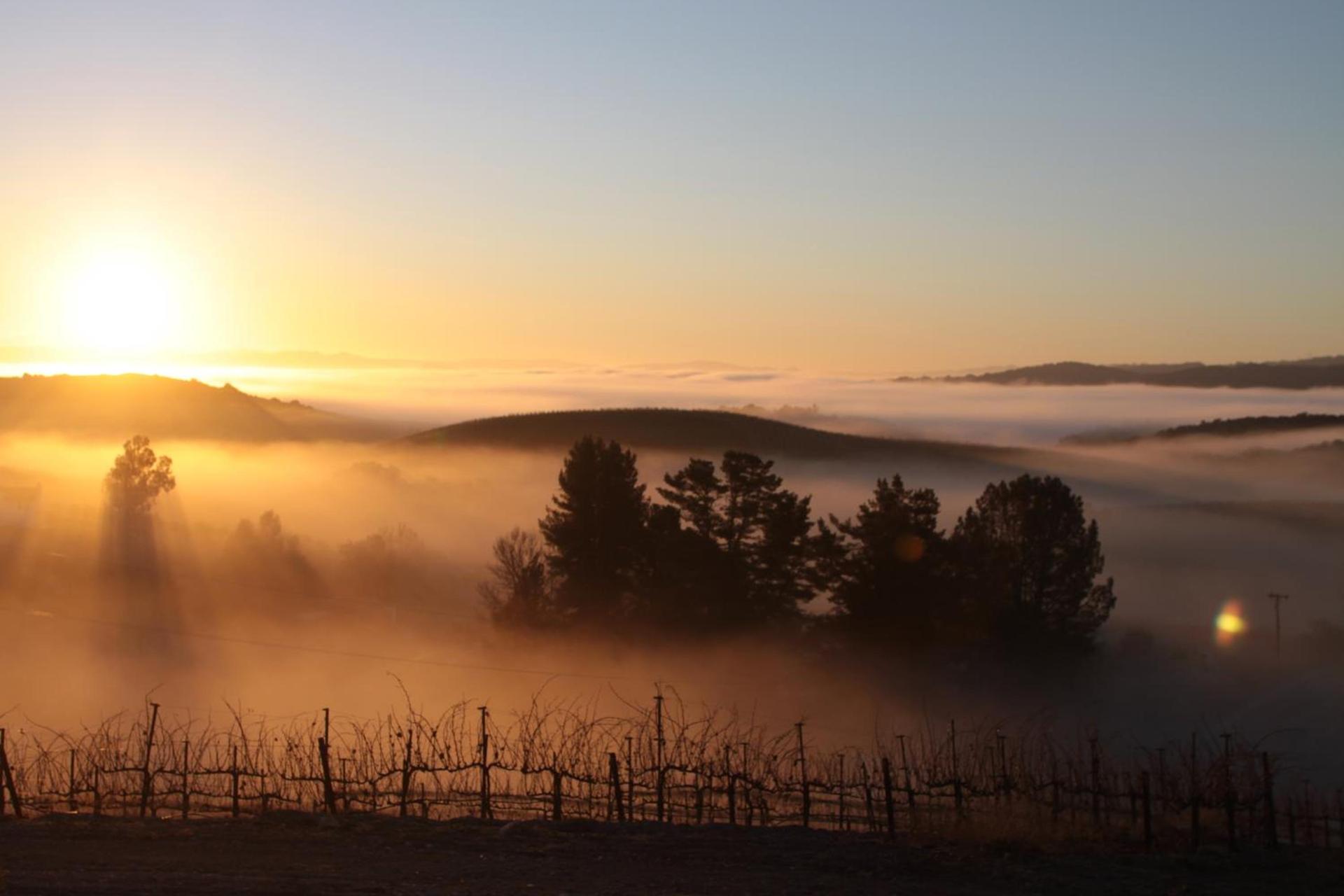 Croad Vineyards - The Inn photo 27