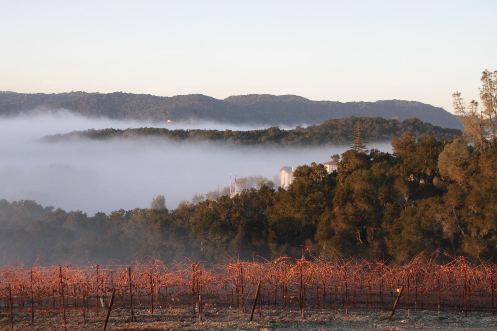 Croad Vineyards - The Inn photo 26