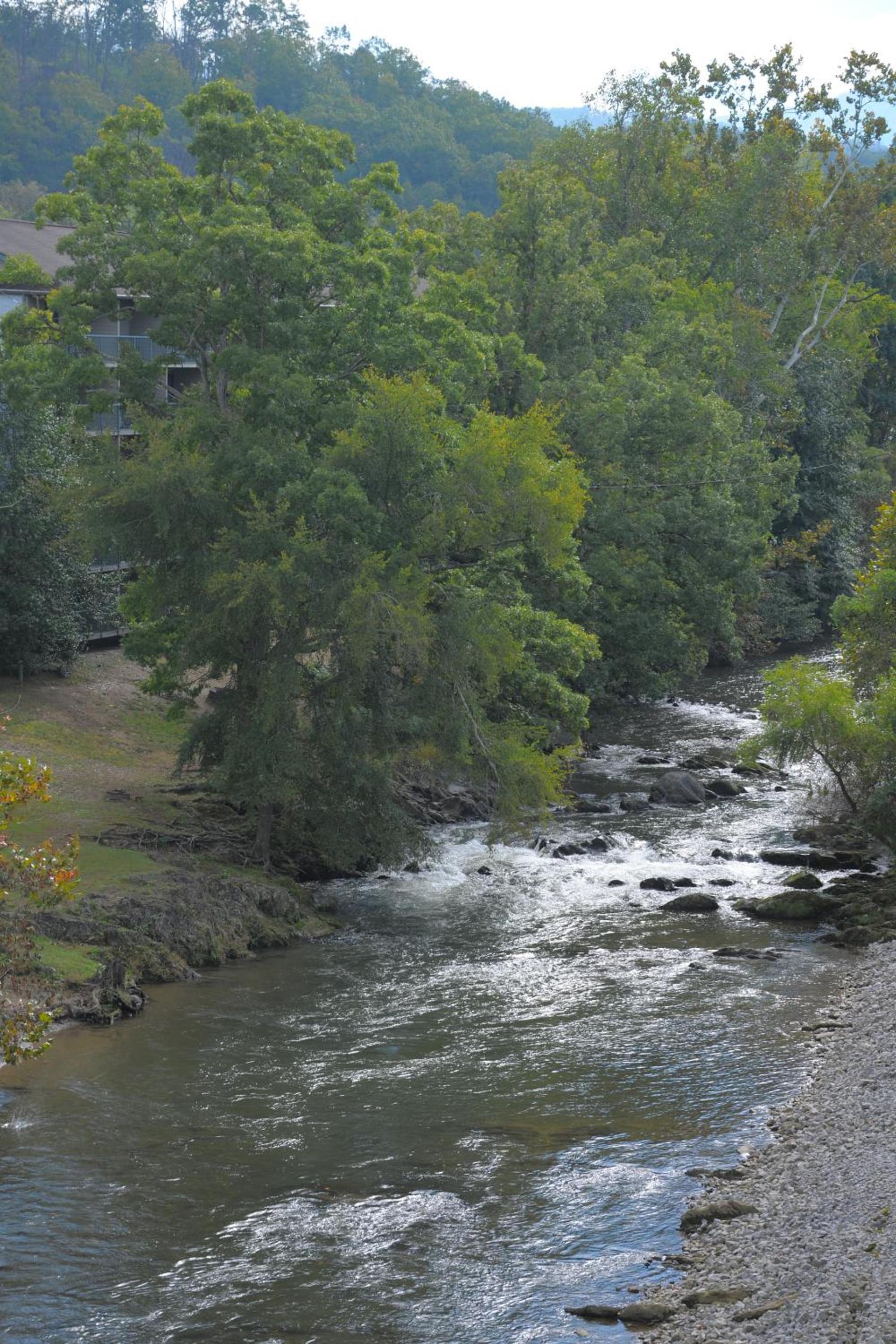 Creekstone Inn photo 18