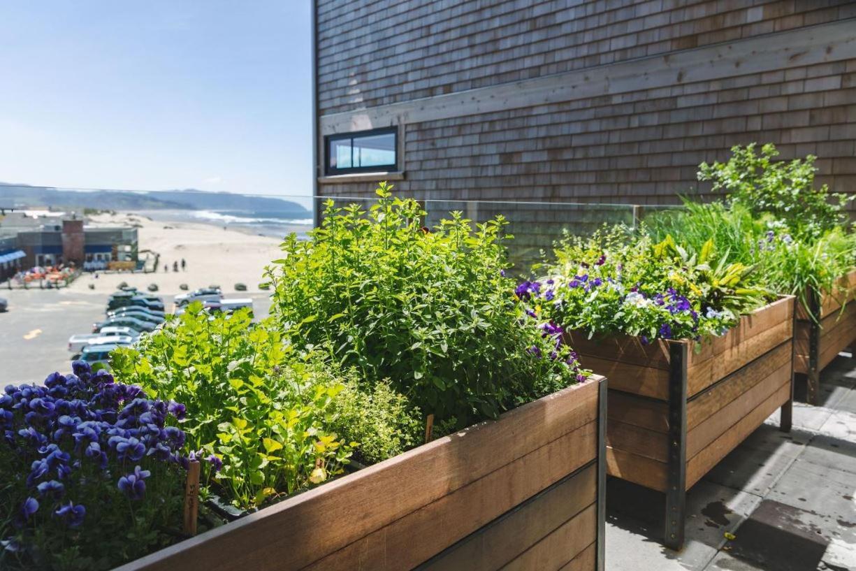 Headlands Coastal Lodge & Spa photo 18