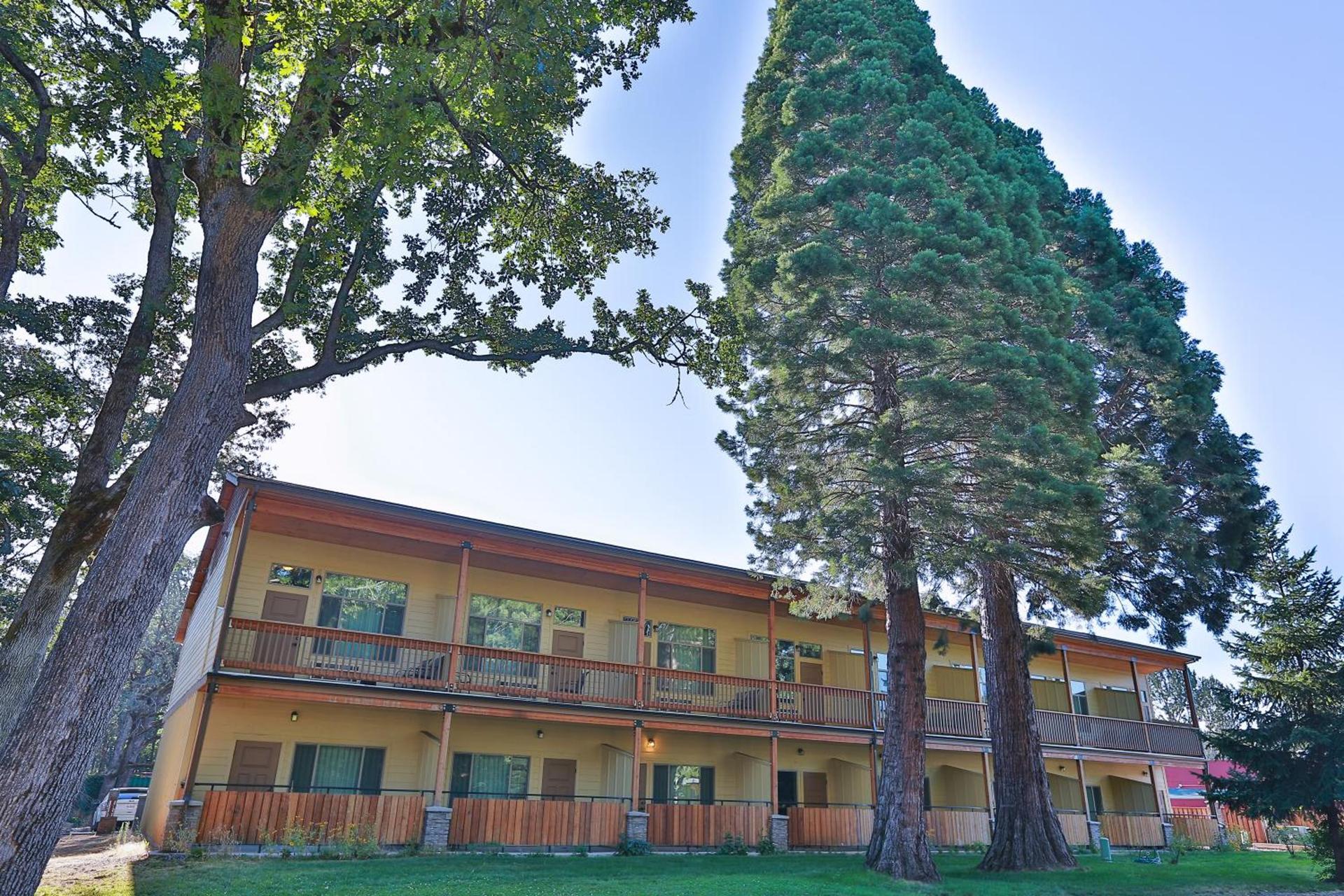 Westcliff Lodge photo 7