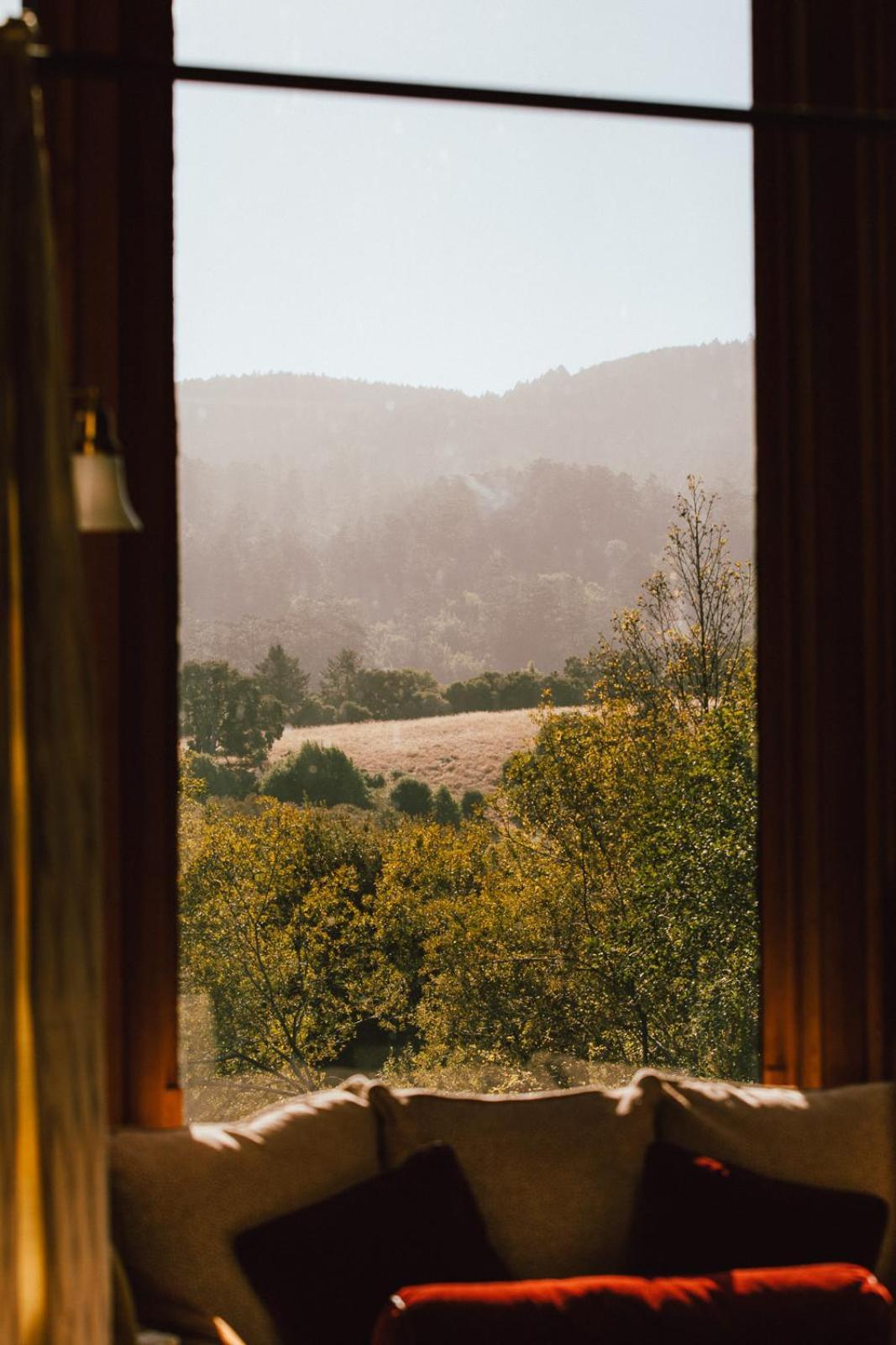 Olema House at Point Reyes photo 16