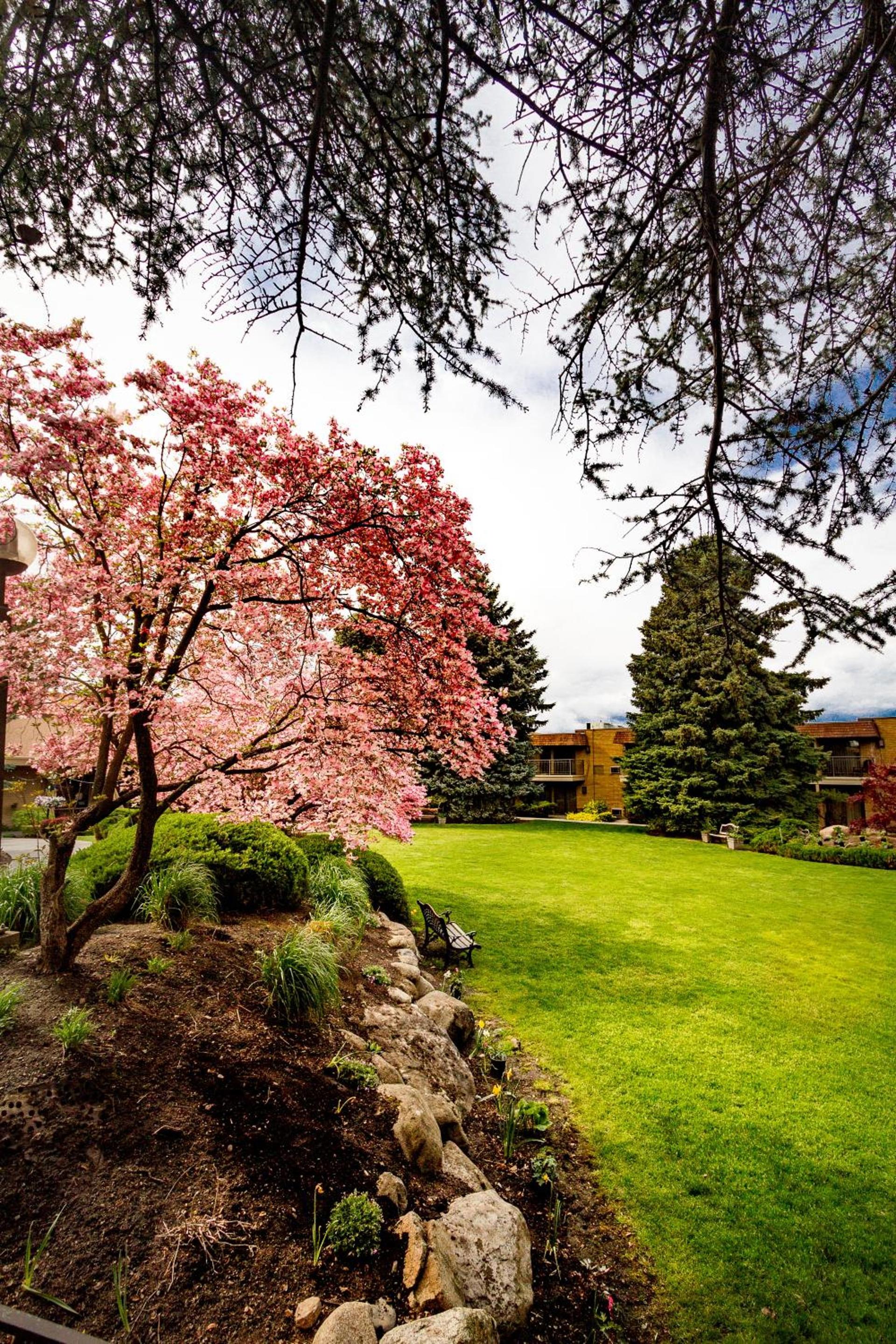 Mirabeau Park Hotel photo 55