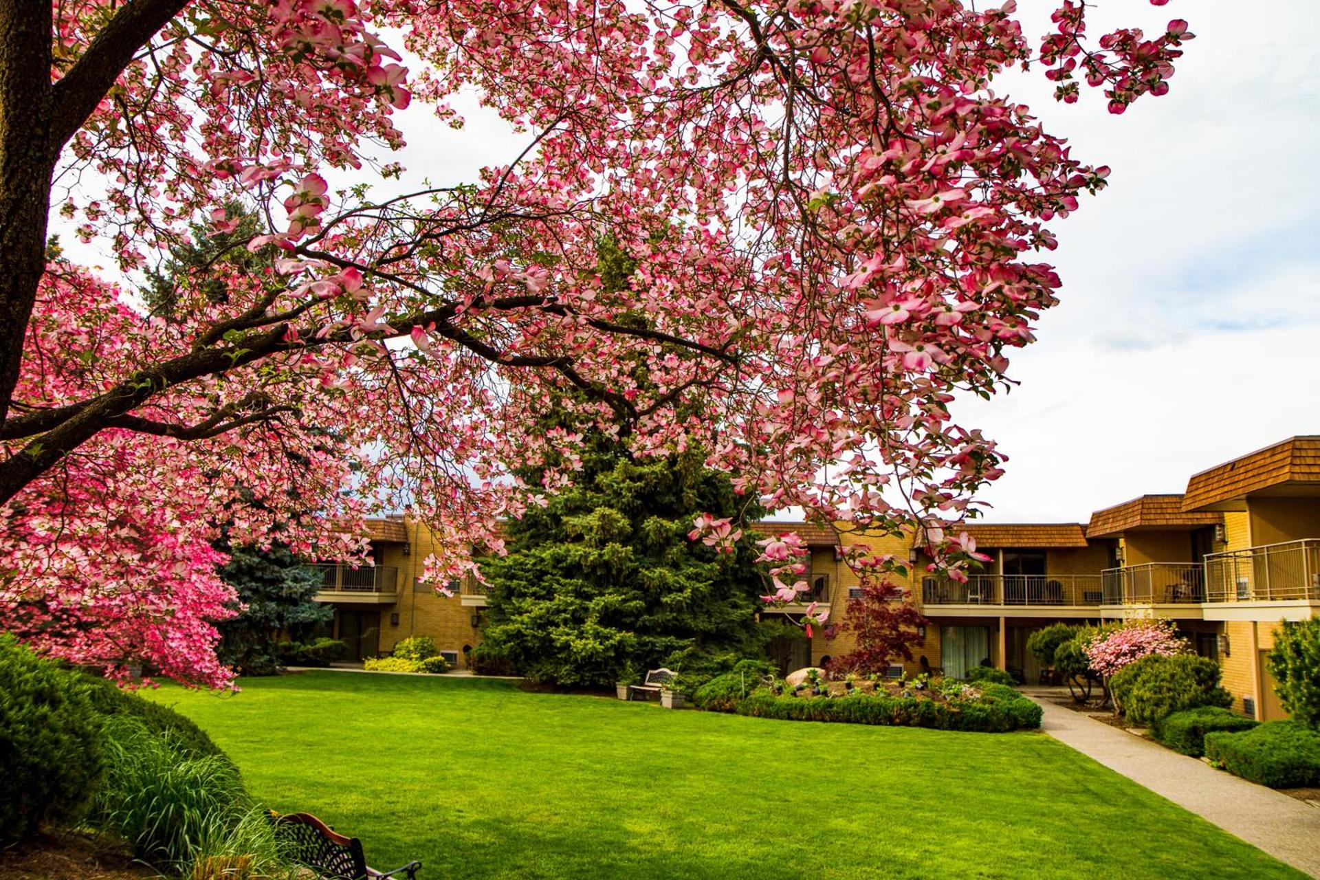 Mirabeau Park Hotel photo 46