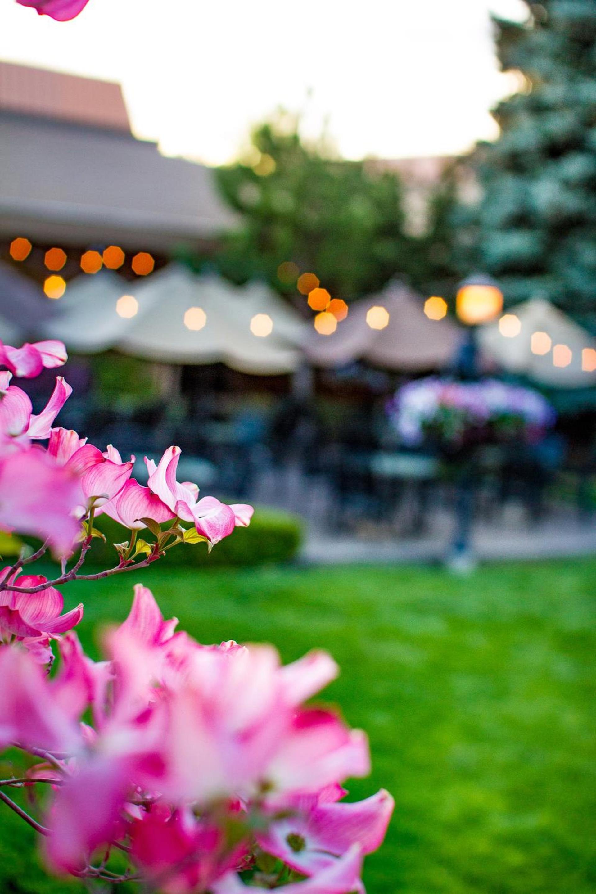 Mirabeau Park Hotel photo 33