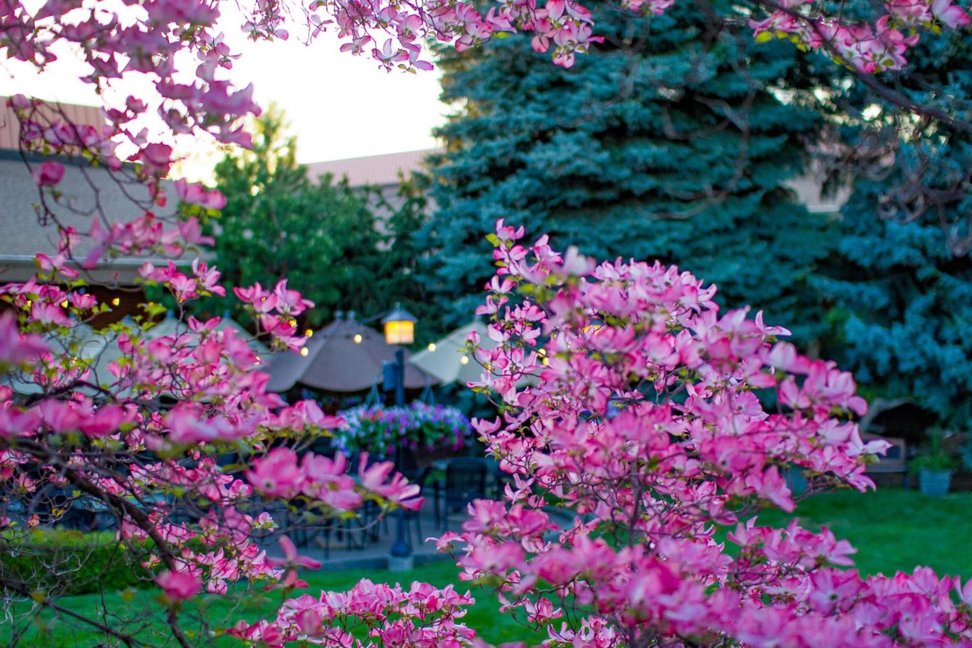 Mirabeau Park Hotel photo 35