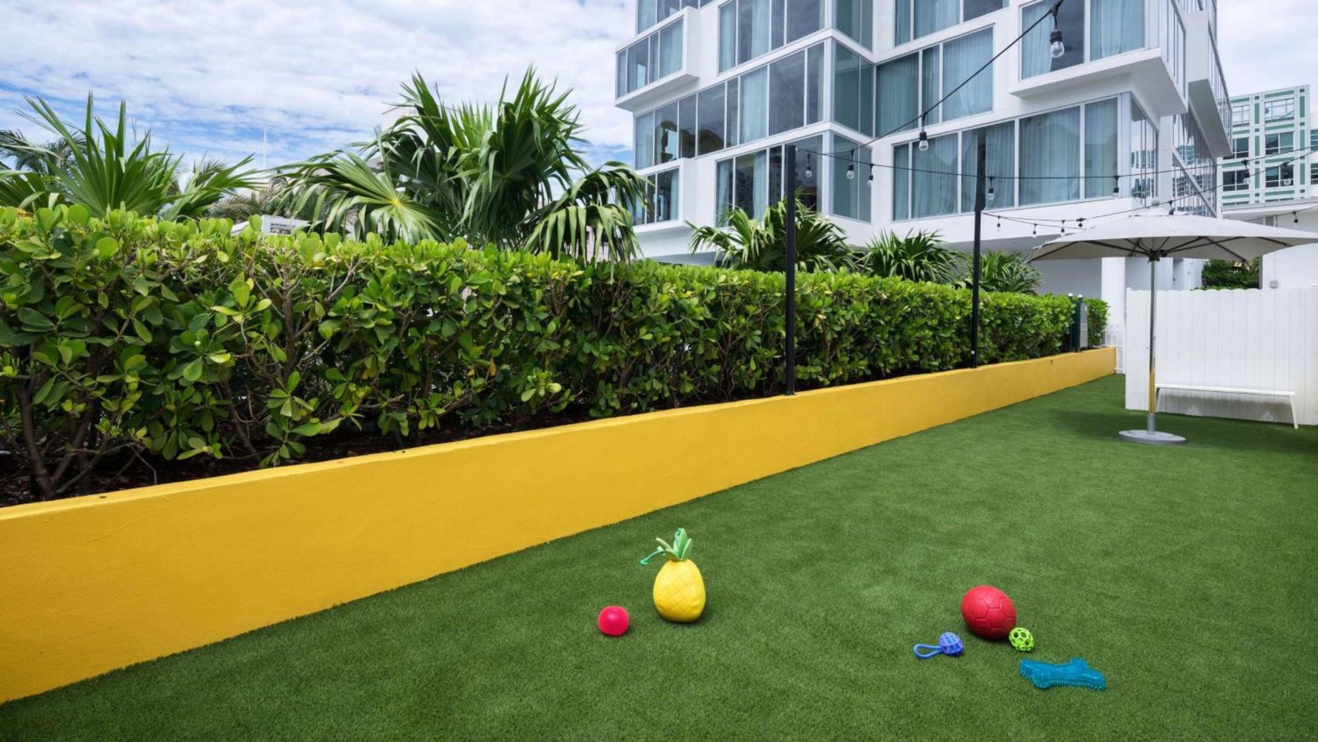 Hyatt Centric South Beach Miami photo 20