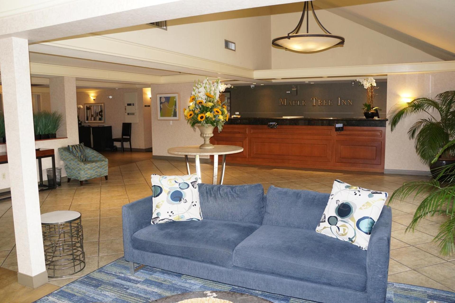Maple Tree Inn photo 28