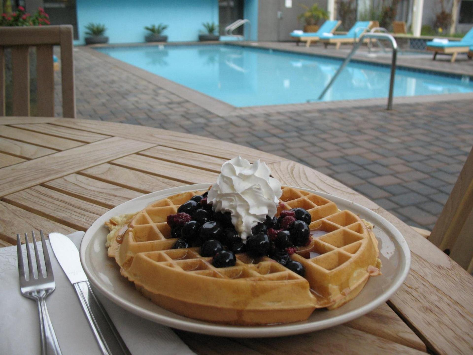 Maple Tree Inn photo 52