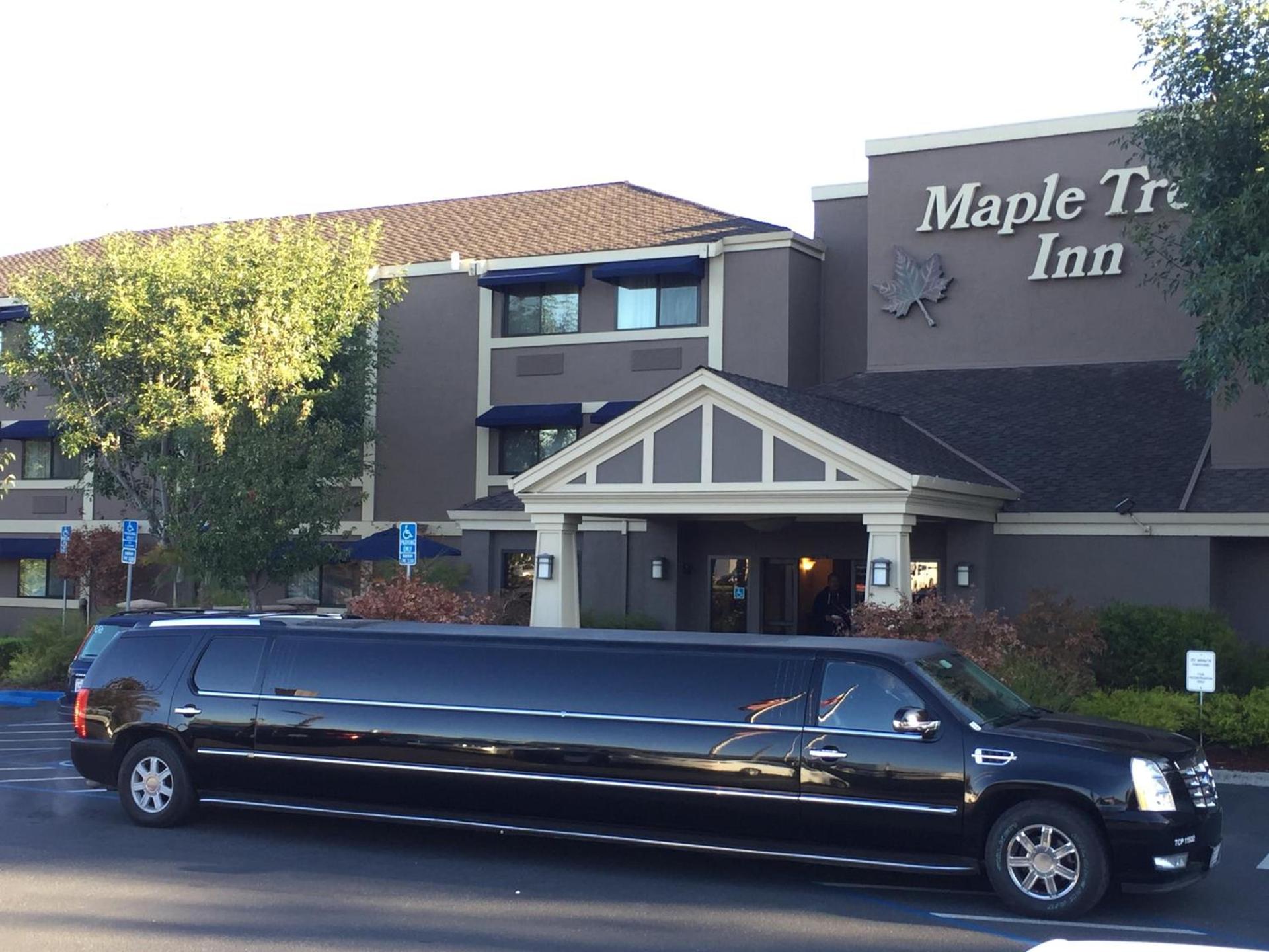 Maple Tree Inn photo 24