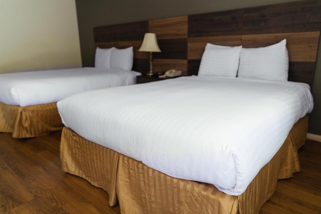 Cozy Inn photo 7