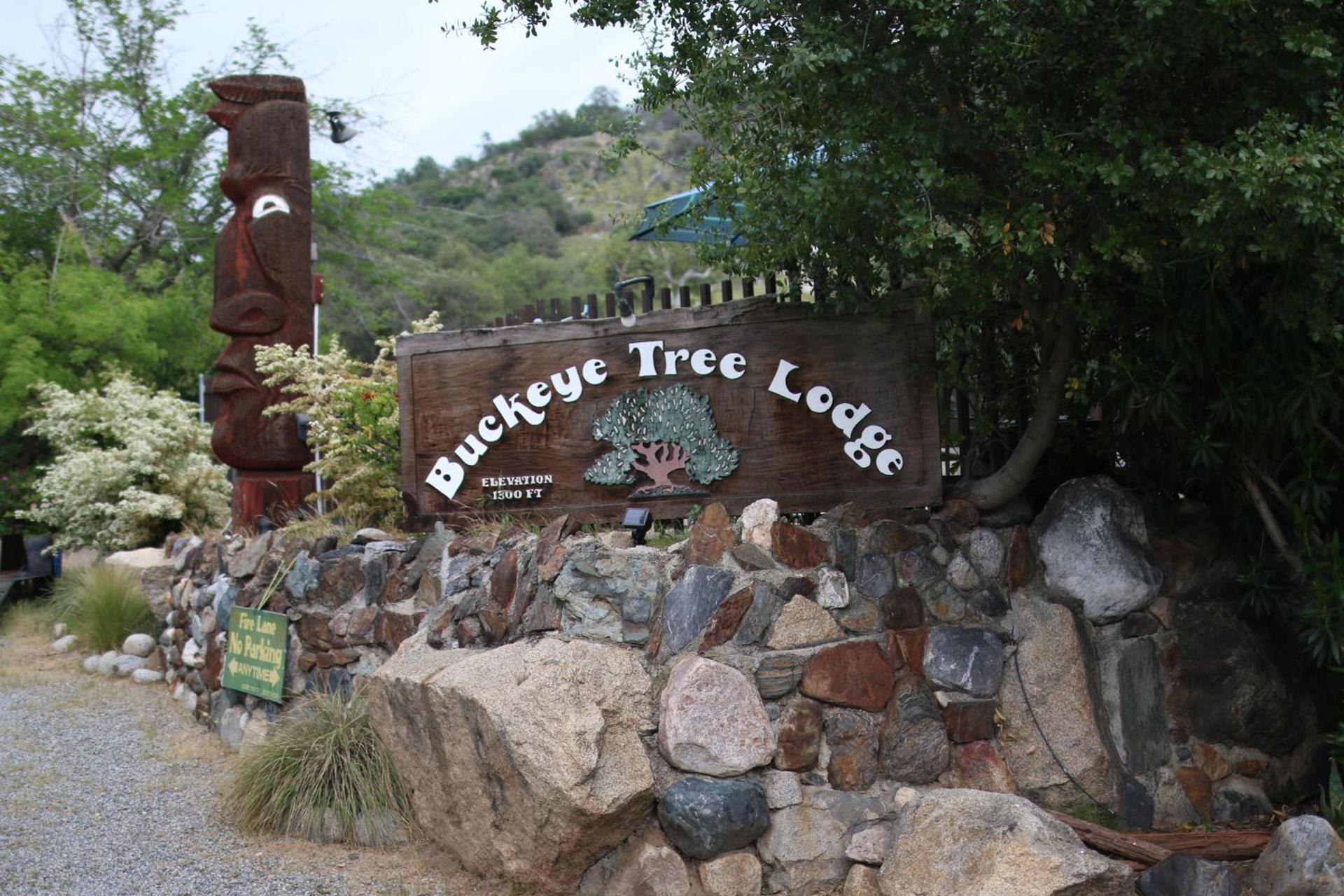 Buckeye Tree Lodge photo 49