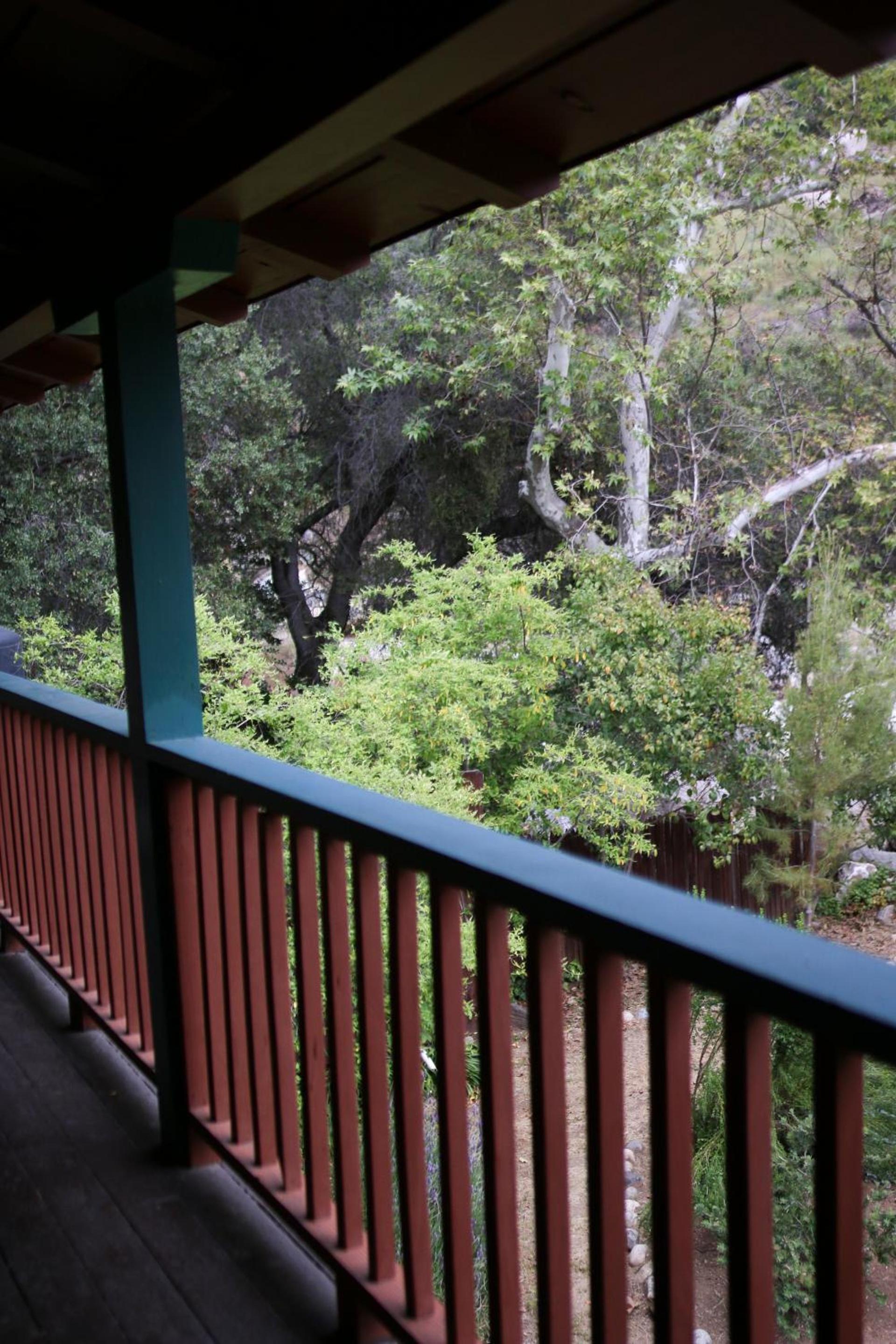Buckeye Tree Lodge photo 9