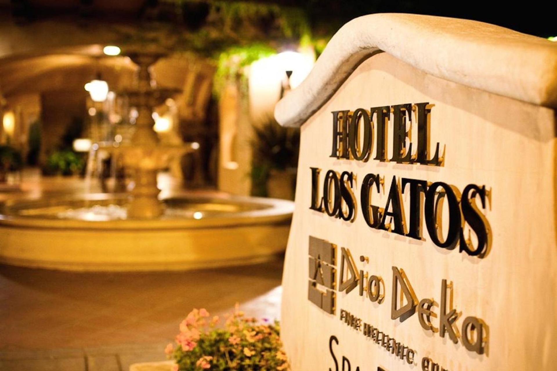 Hotel Los Gatos photo 7