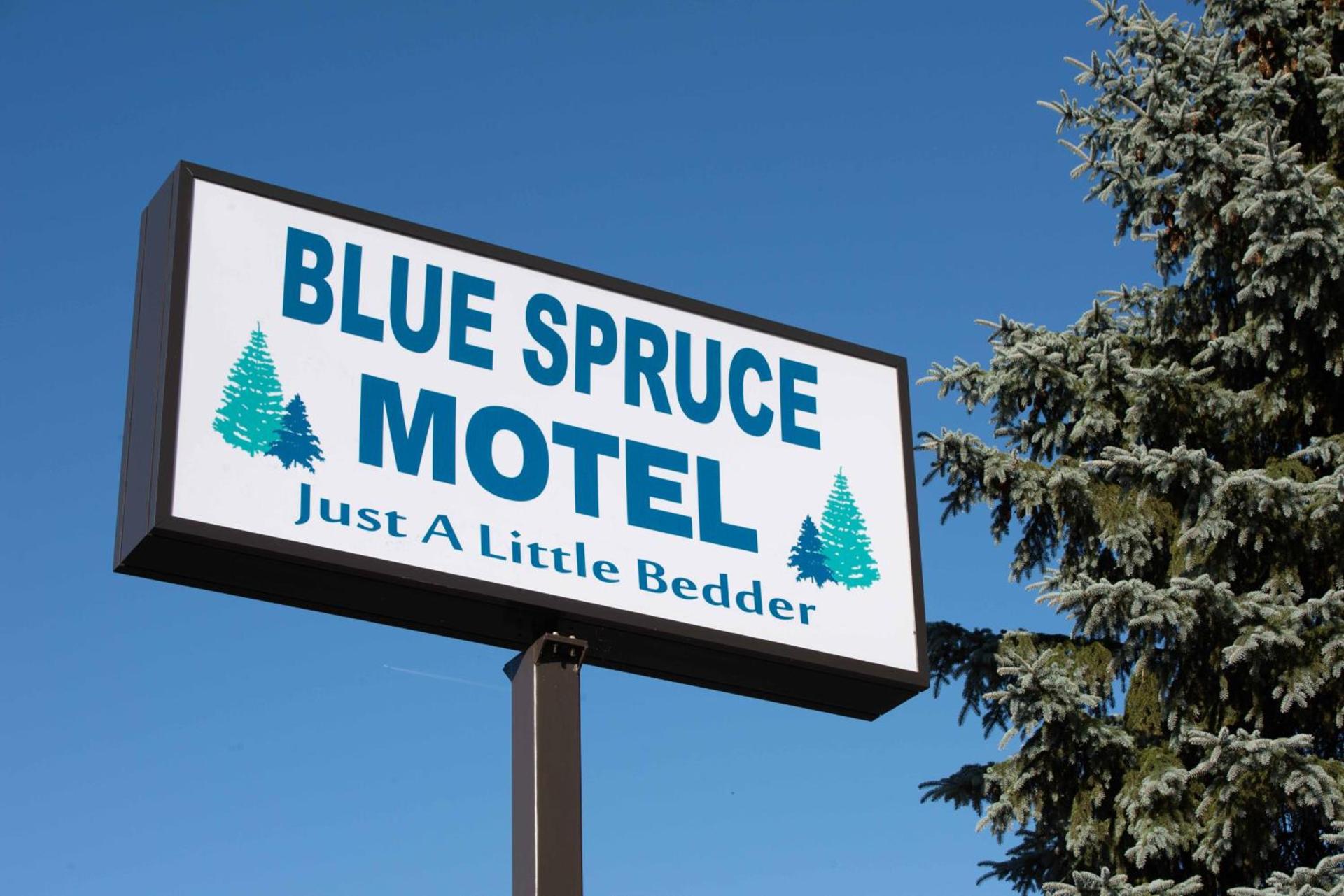 Blue Spruce Motel photo 20