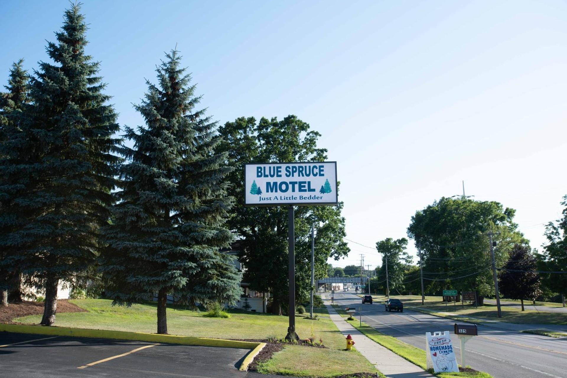 Blue Spruce Motel photo 22