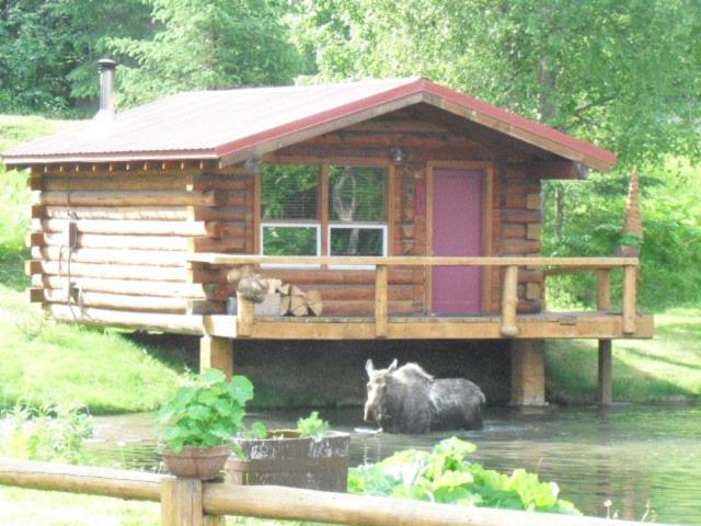 Hope Alaska's Bear Creek Lodge photo 23