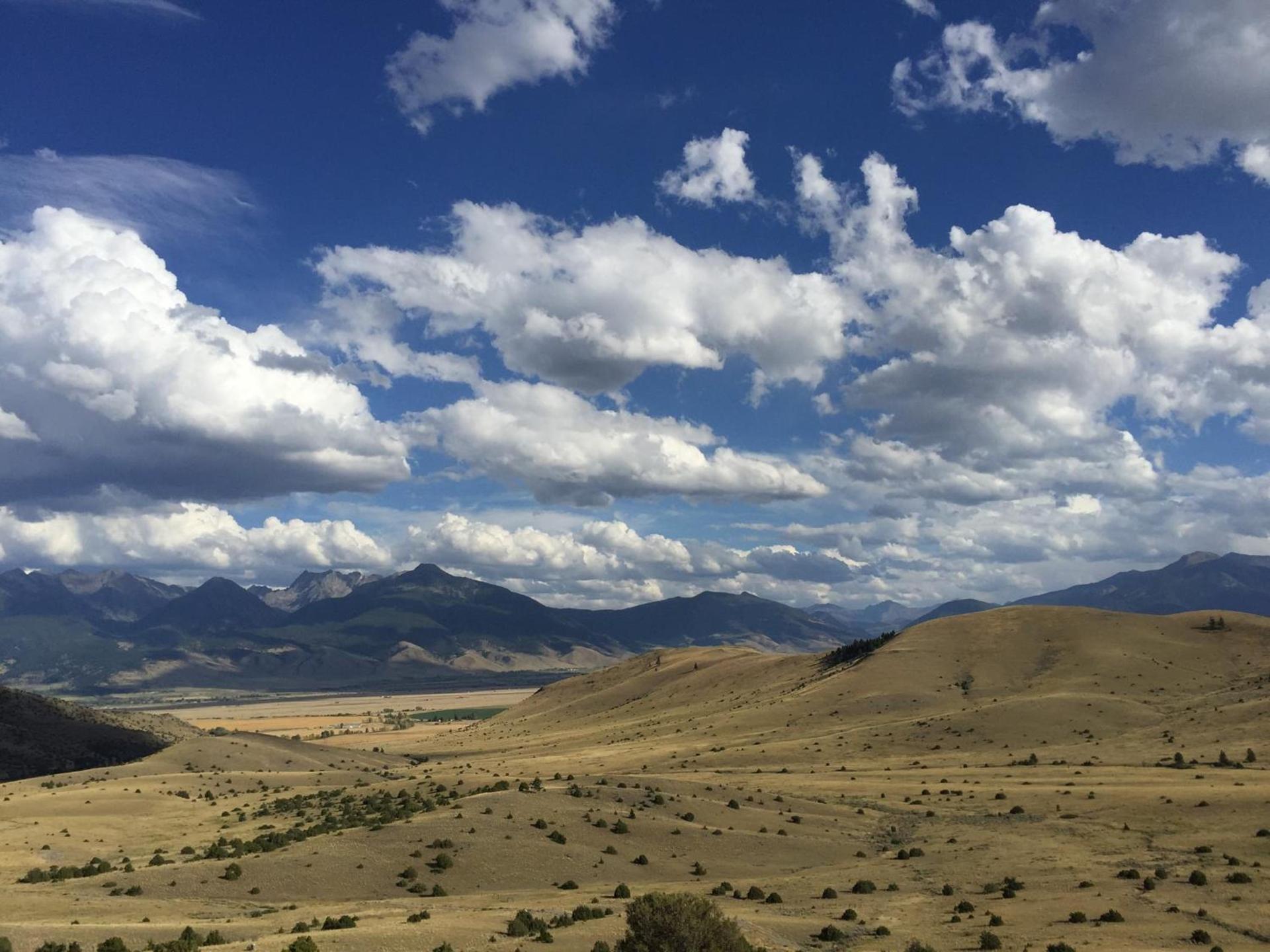 Erik's Ranch photo 36