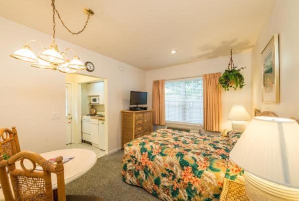 The Cozy Inn photo 24