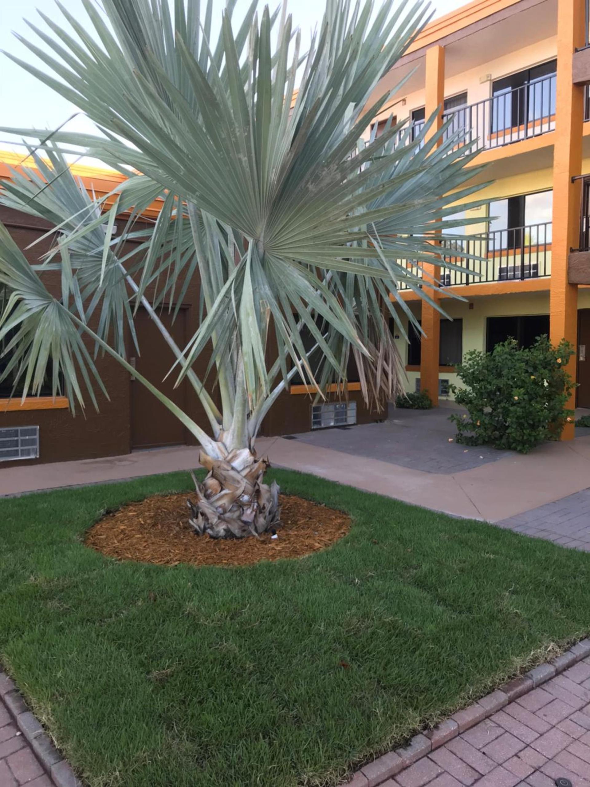 Days Inn by Wyndham N Orlando/Casselberry photo 36