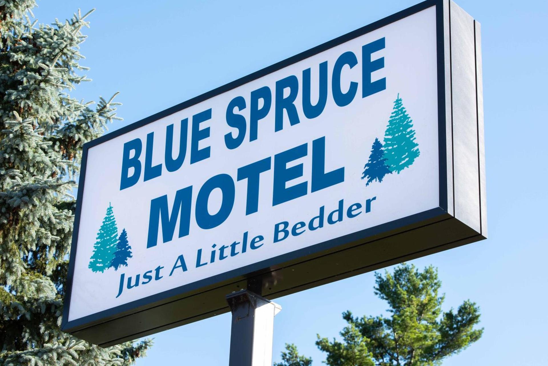 Blue Spruce Motel photo 50