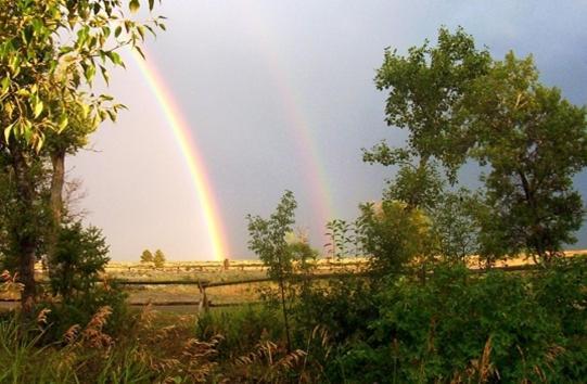 Parade Rest Ranch photo 8