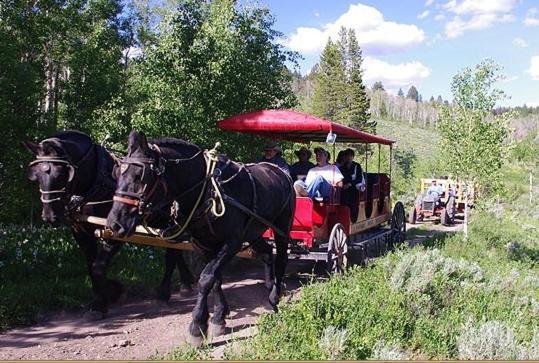 Parade Rest Ranch photo 19