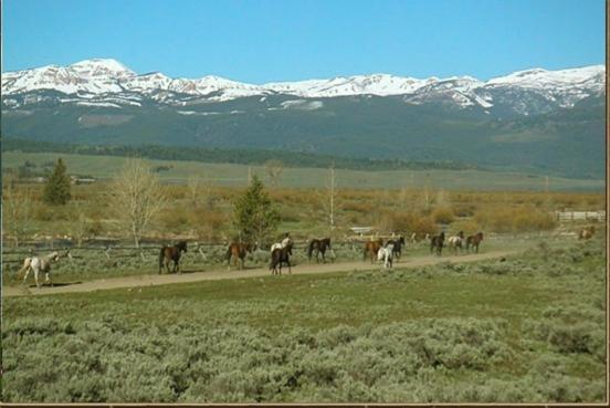 Parade Rest Ranch photo 12