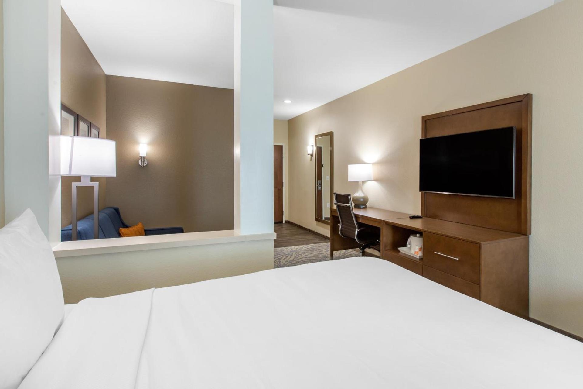 Comfort Suites - South Austin photo 11