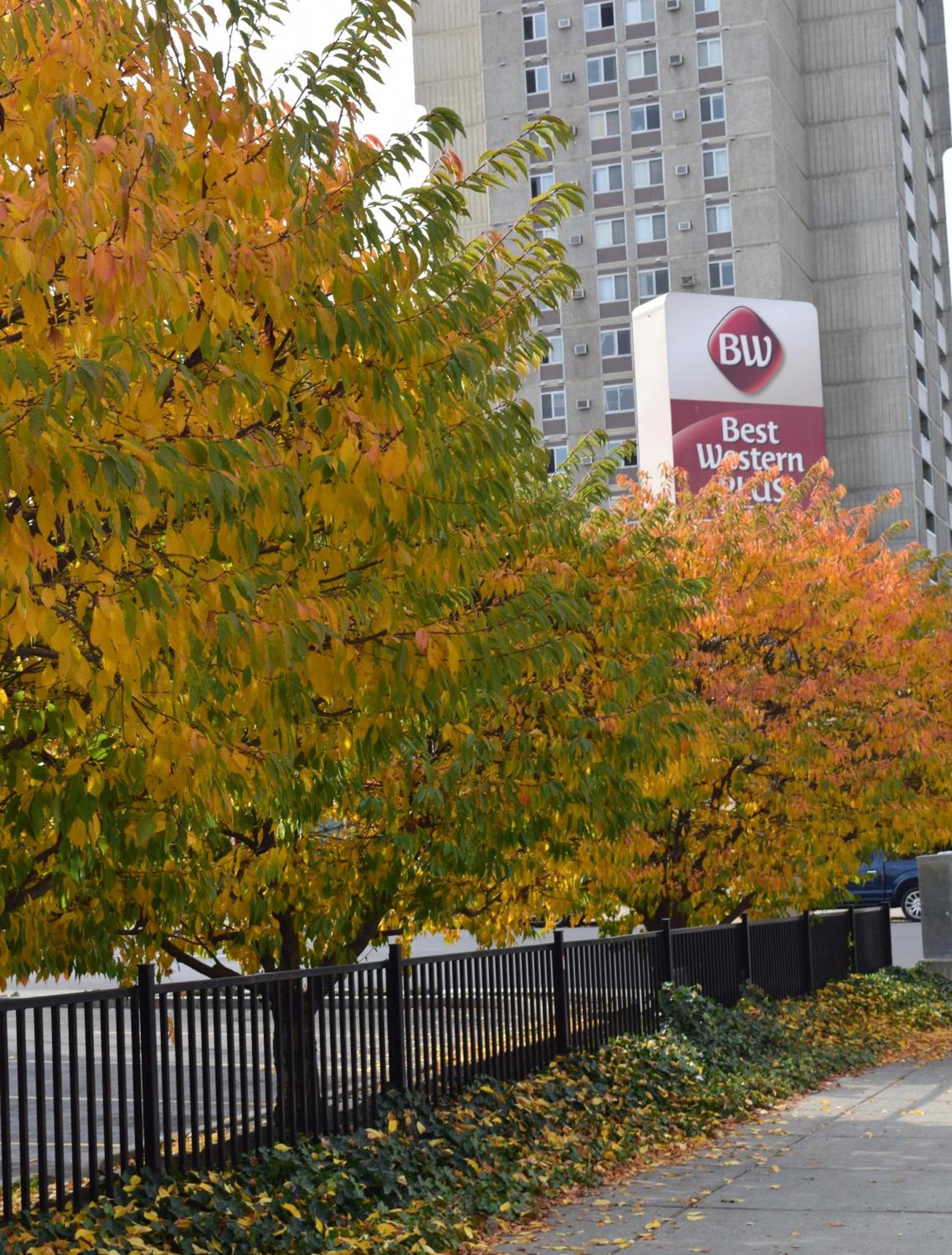 Best Western Plus City Center photo 35