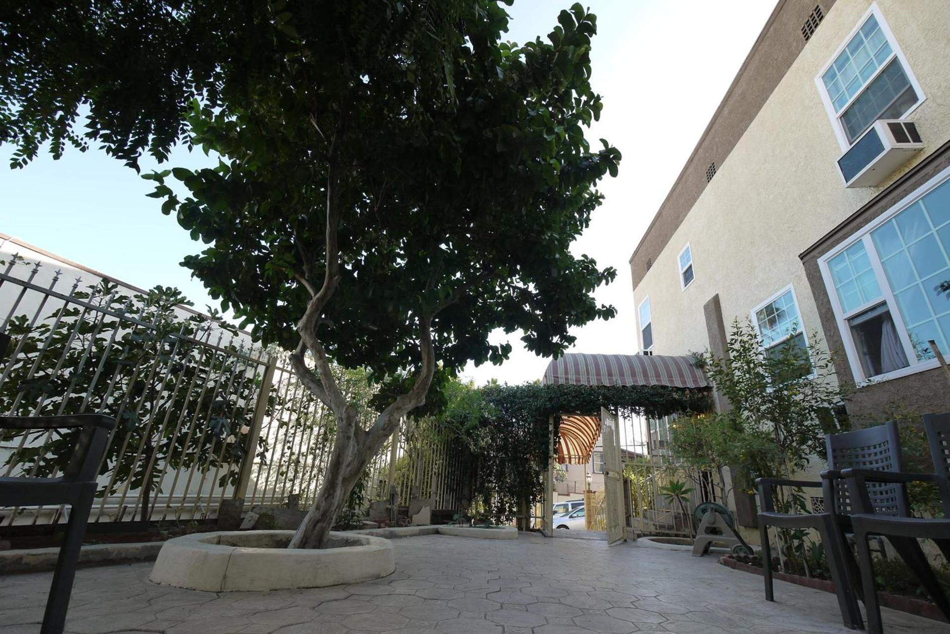 Trylon Hotel - Hollywood photo 4