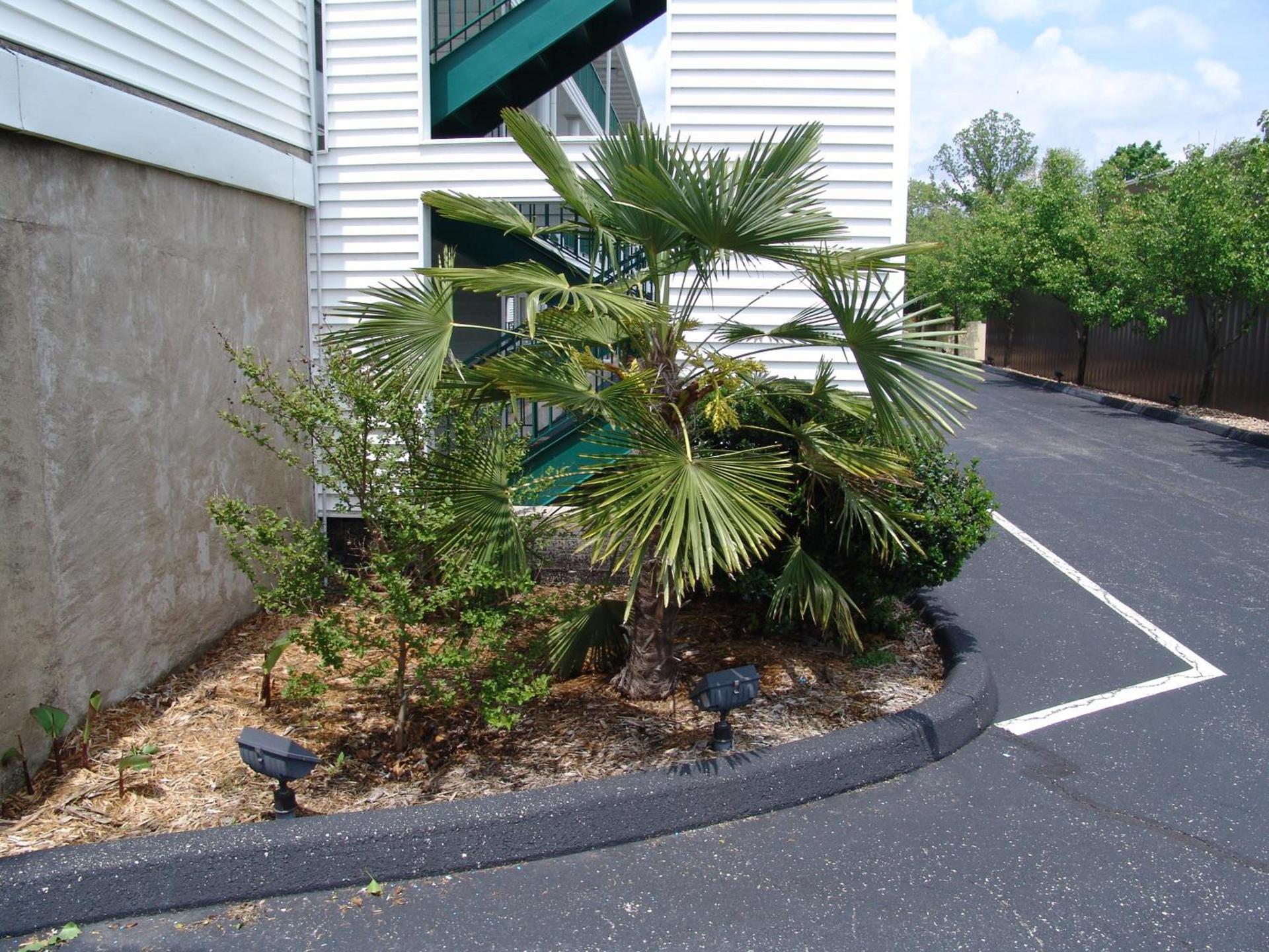 Super 8 by Wyndham Branson - Shepherd of the Hills Exwy photo 43