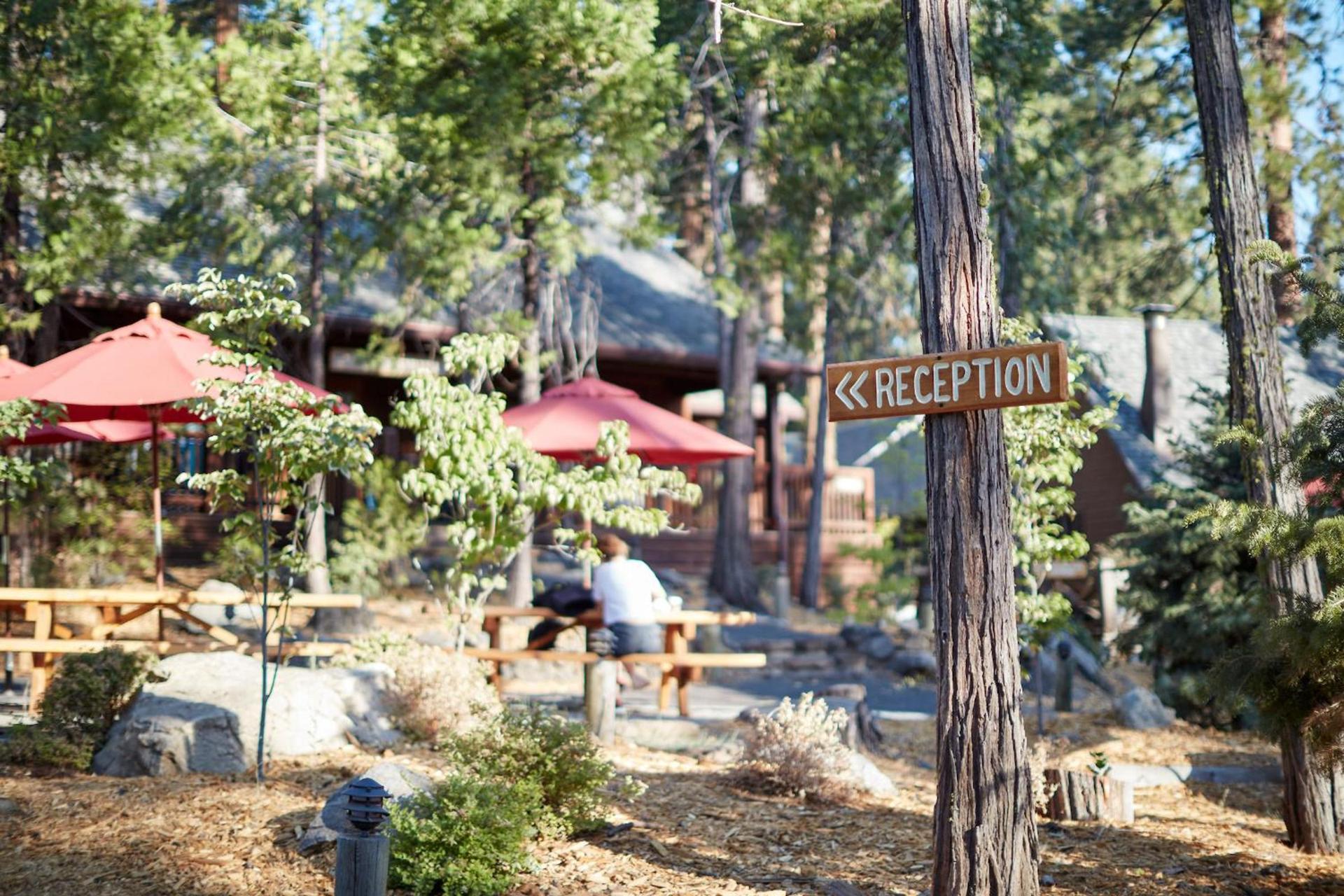 Evergreen Lodge at Yosemite photo 45