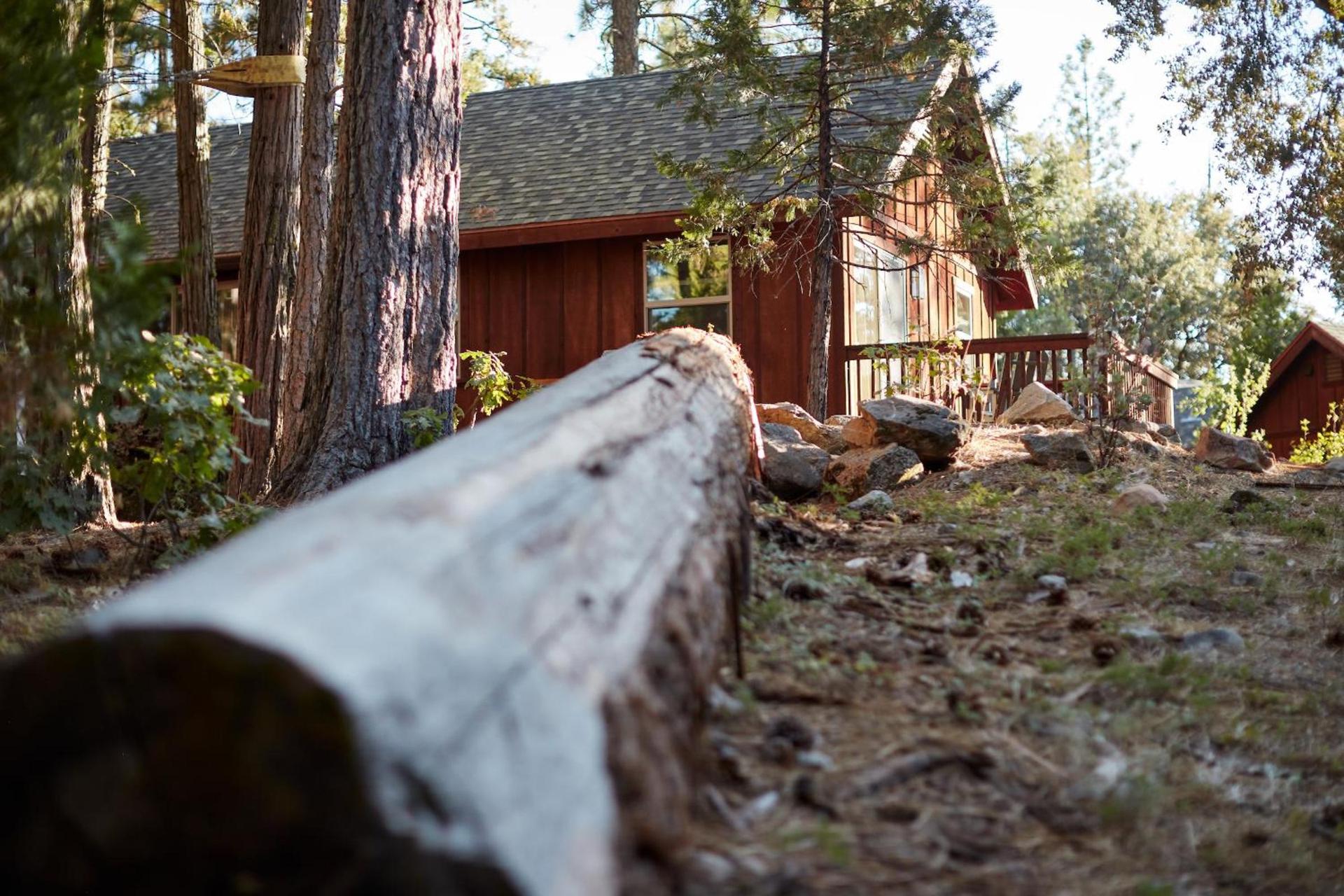 Evergreen Lodge at Yosemite photo 51