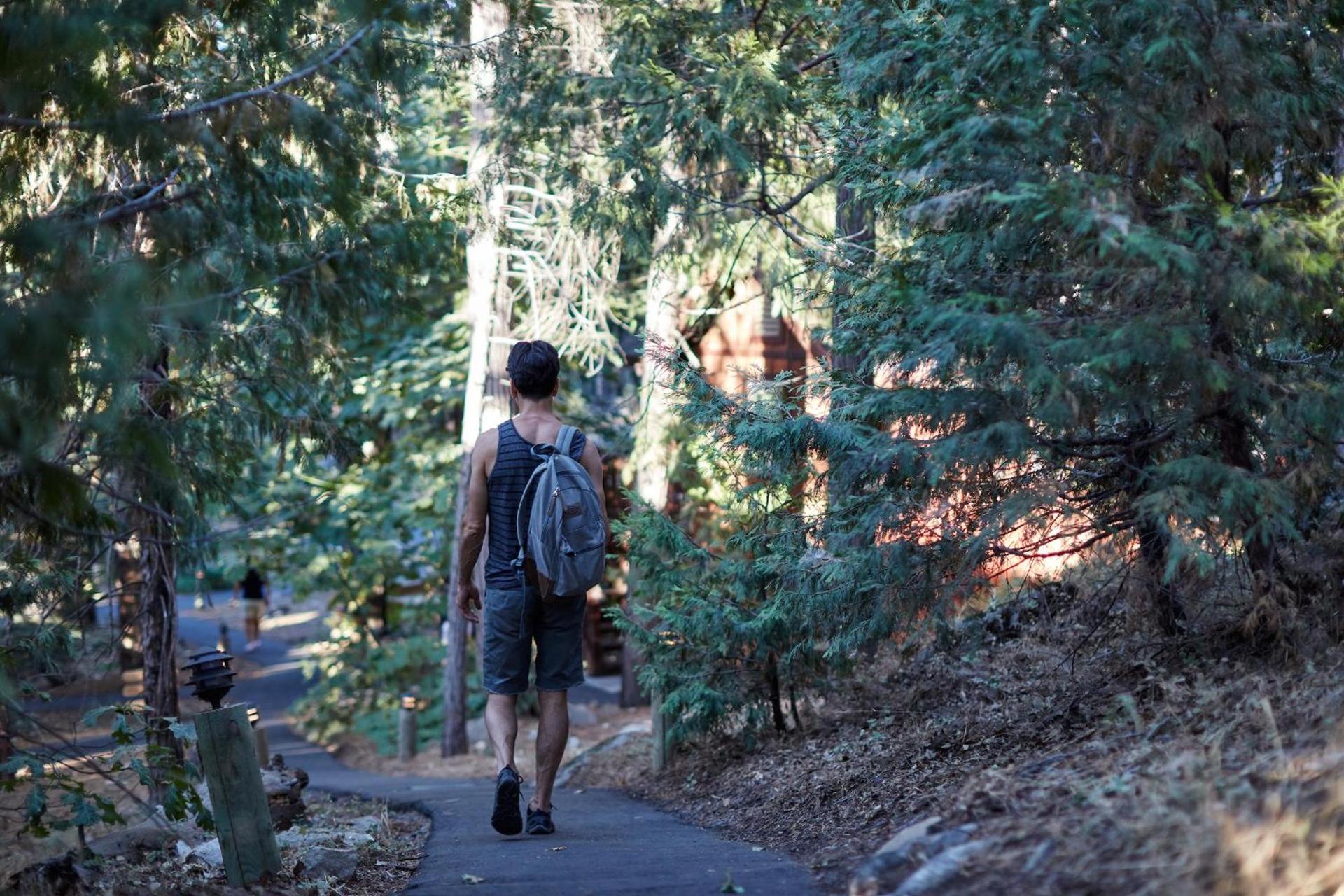 Evergreen Lodge at Yosemite photo 57