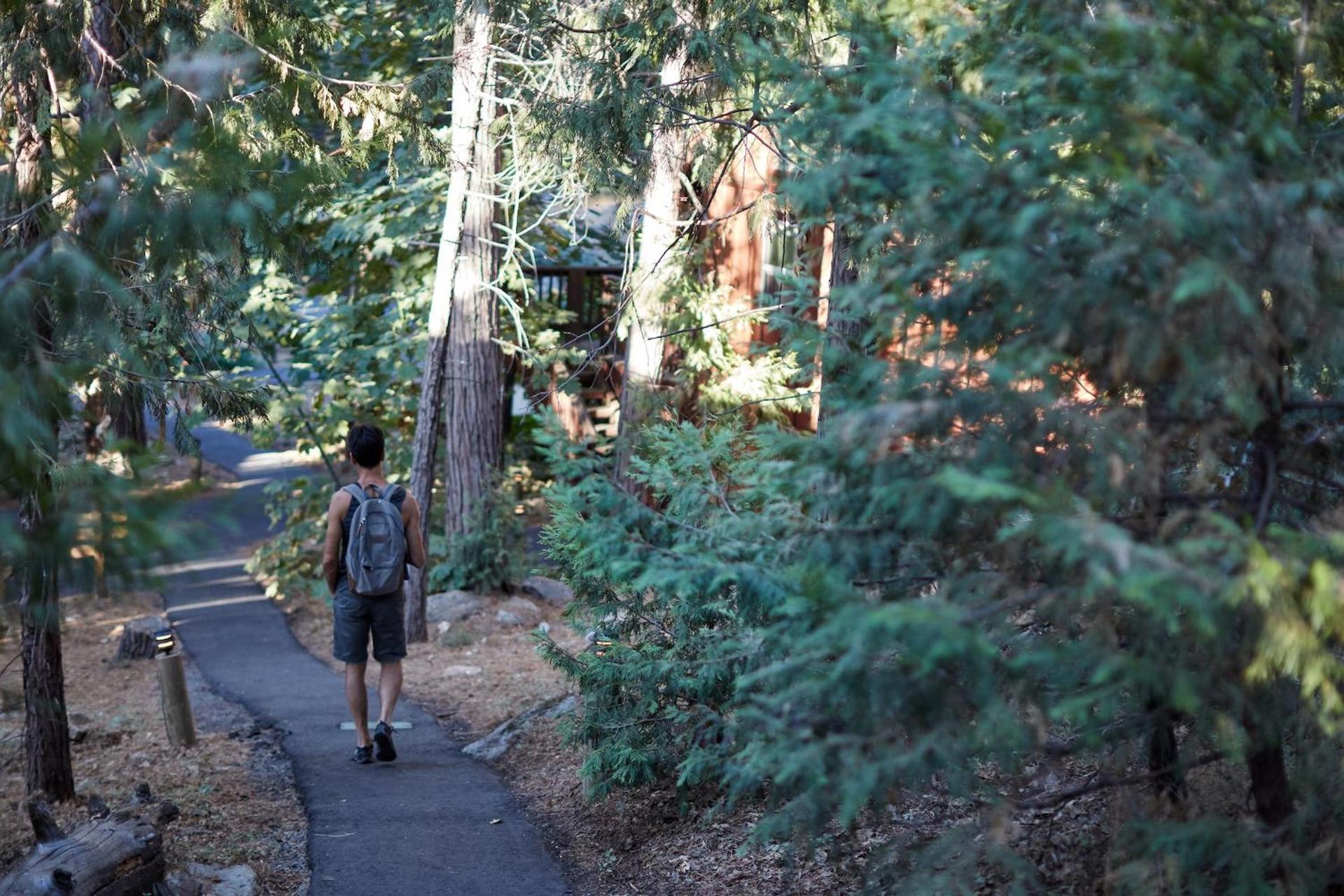 Evergreen Lodge at Yosemite photo 58