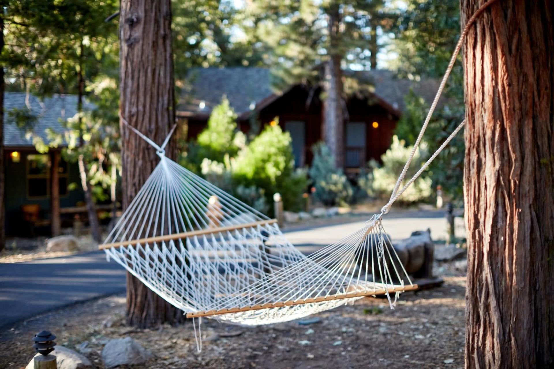 Evergreen Lodge at Yosemite photo 64