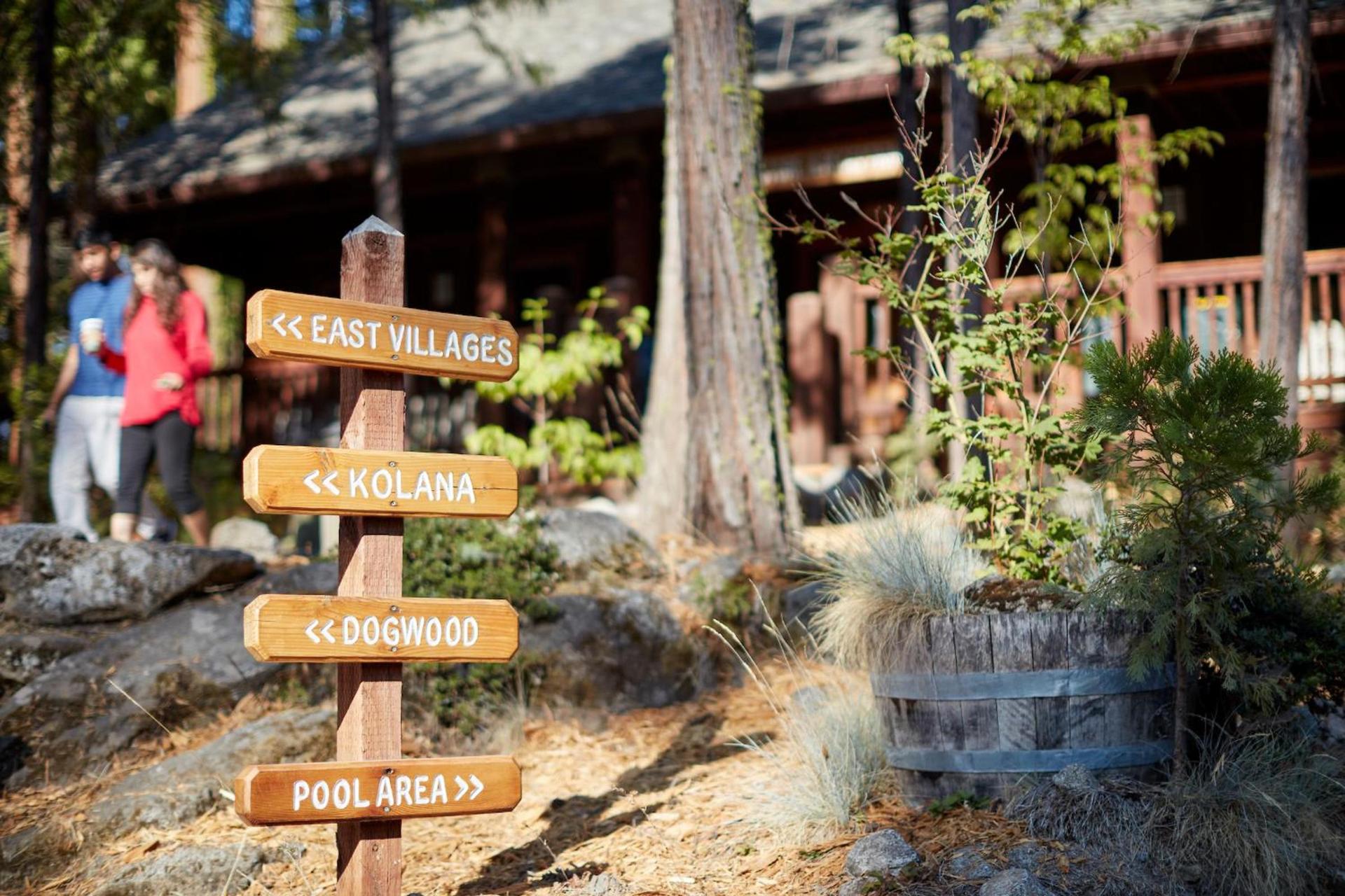 Evergreen Lodge at Yosemite photo 67
