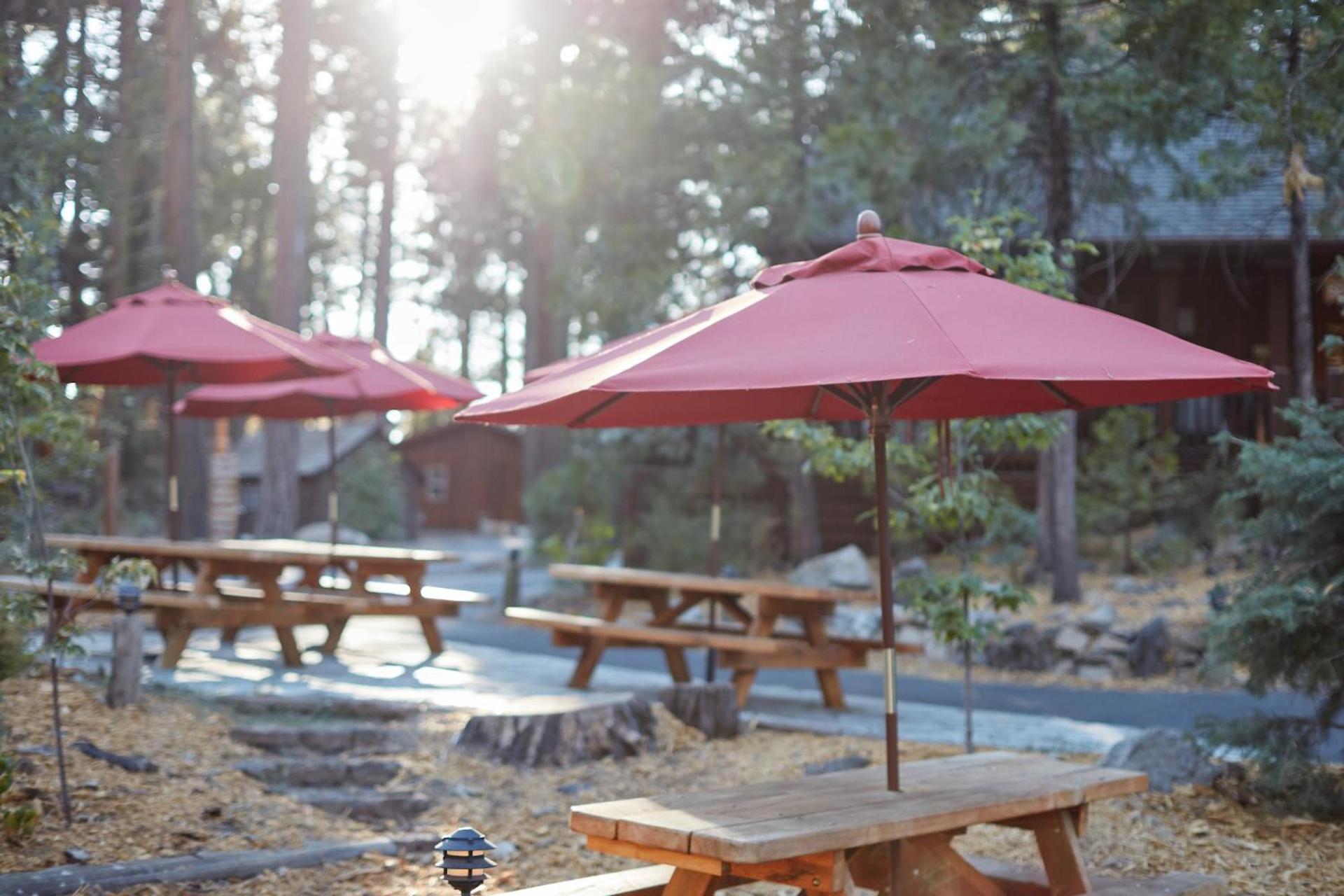 Evergreen Lodge at Yosemite photo 68